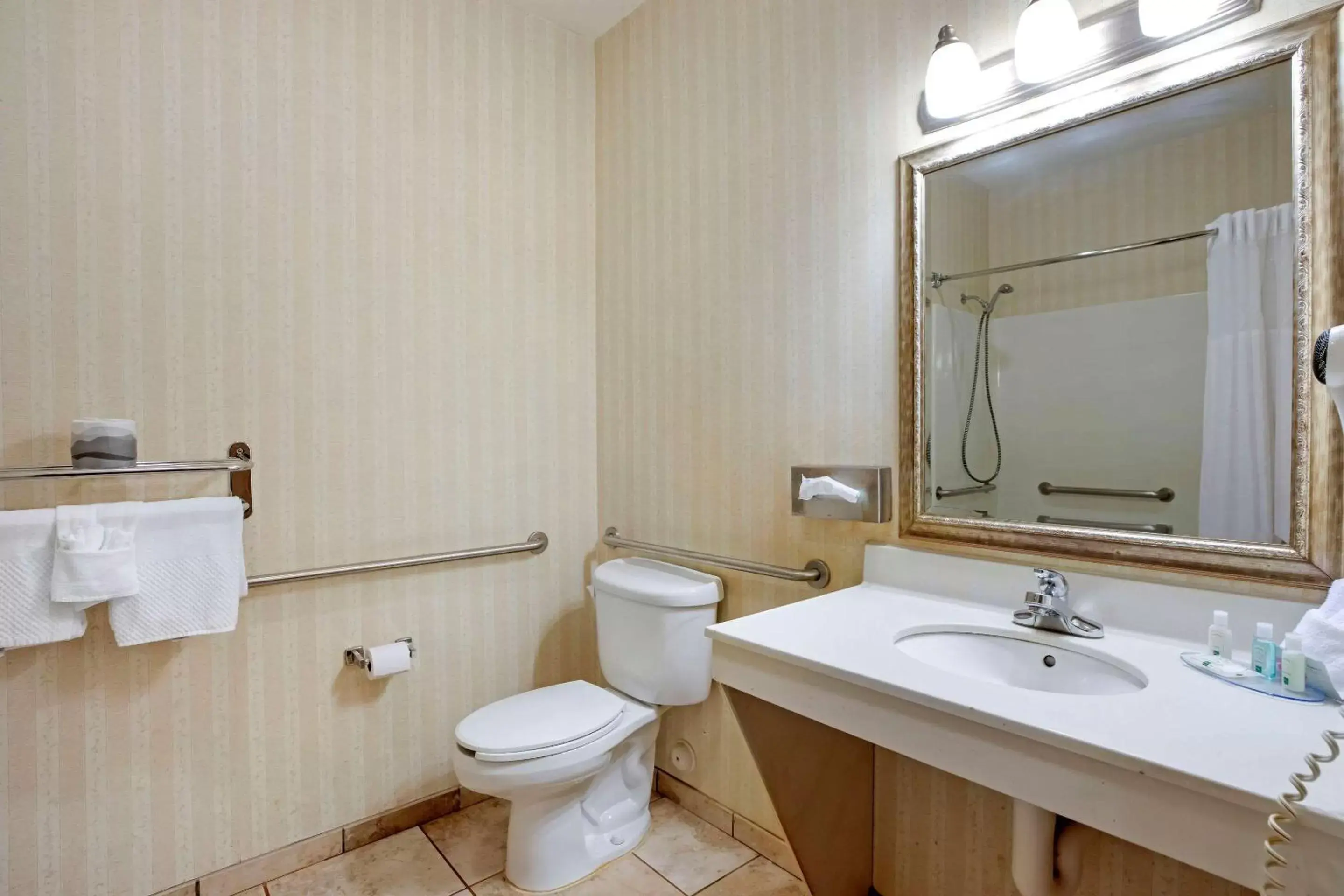 Bathroom in Quality Inn & Suites Wellington – Fort Collins