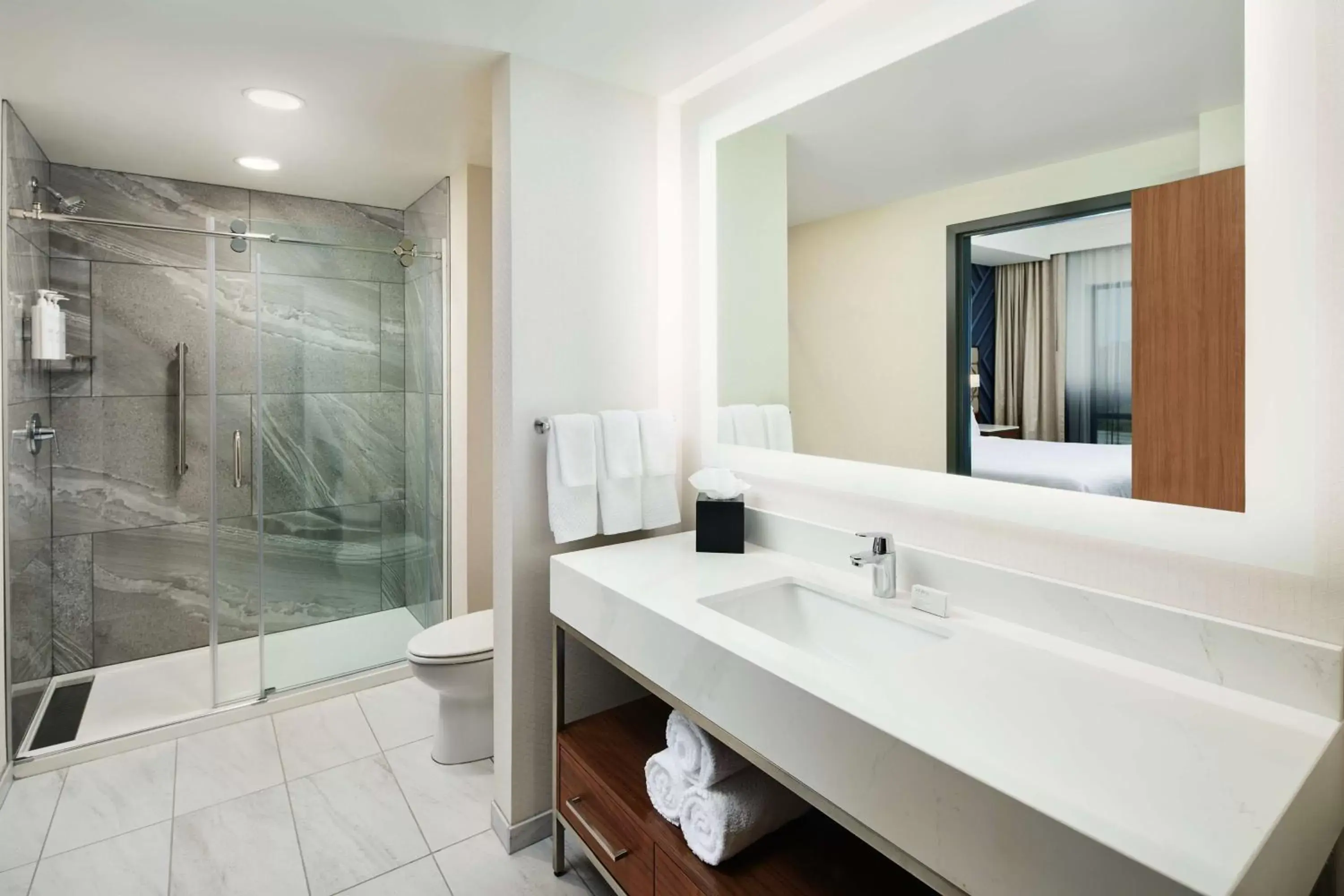 Bathroom in Embassy Suites By Hilton Atlanta Airport North