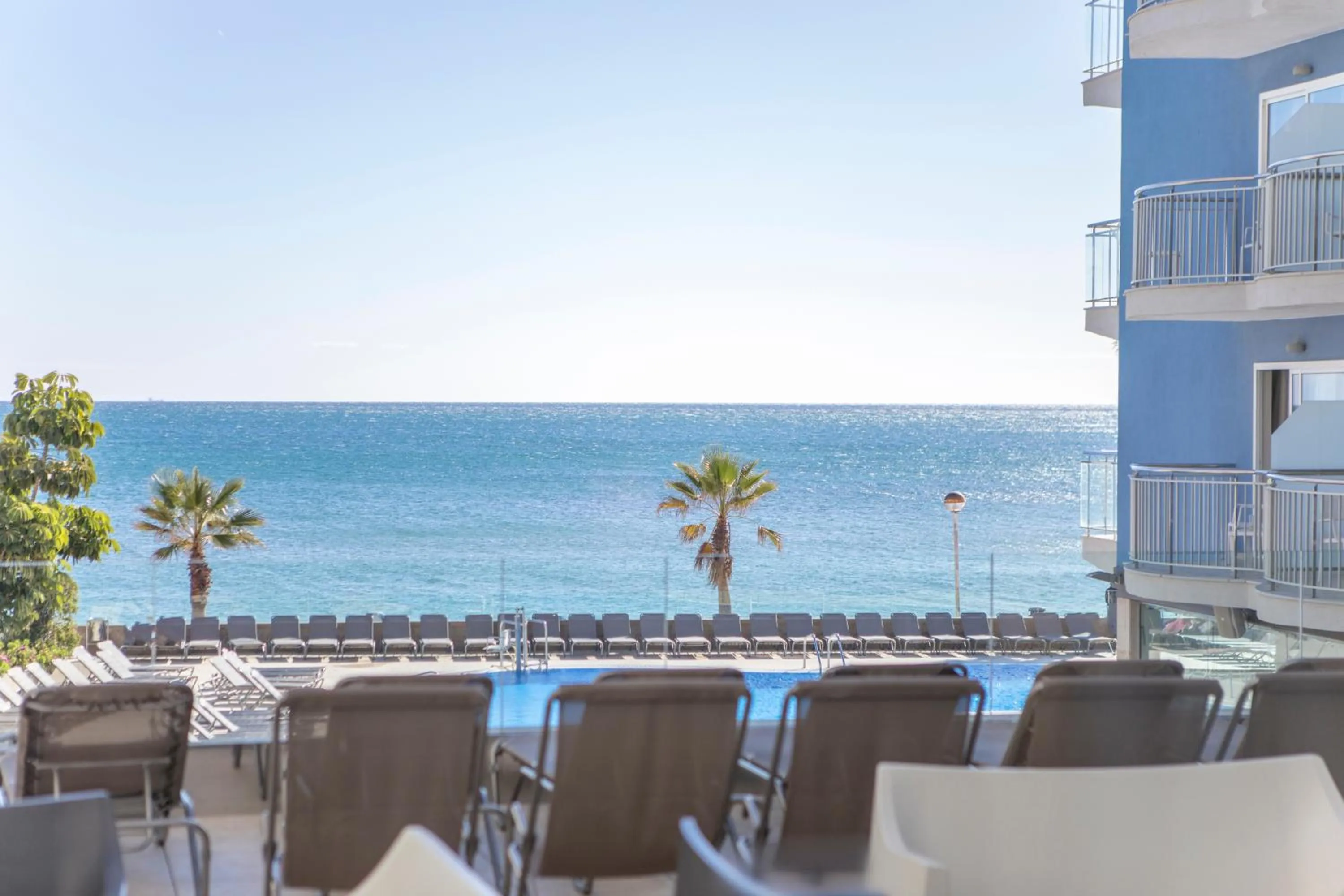 Balcony/Terrace in Hotel Augustus