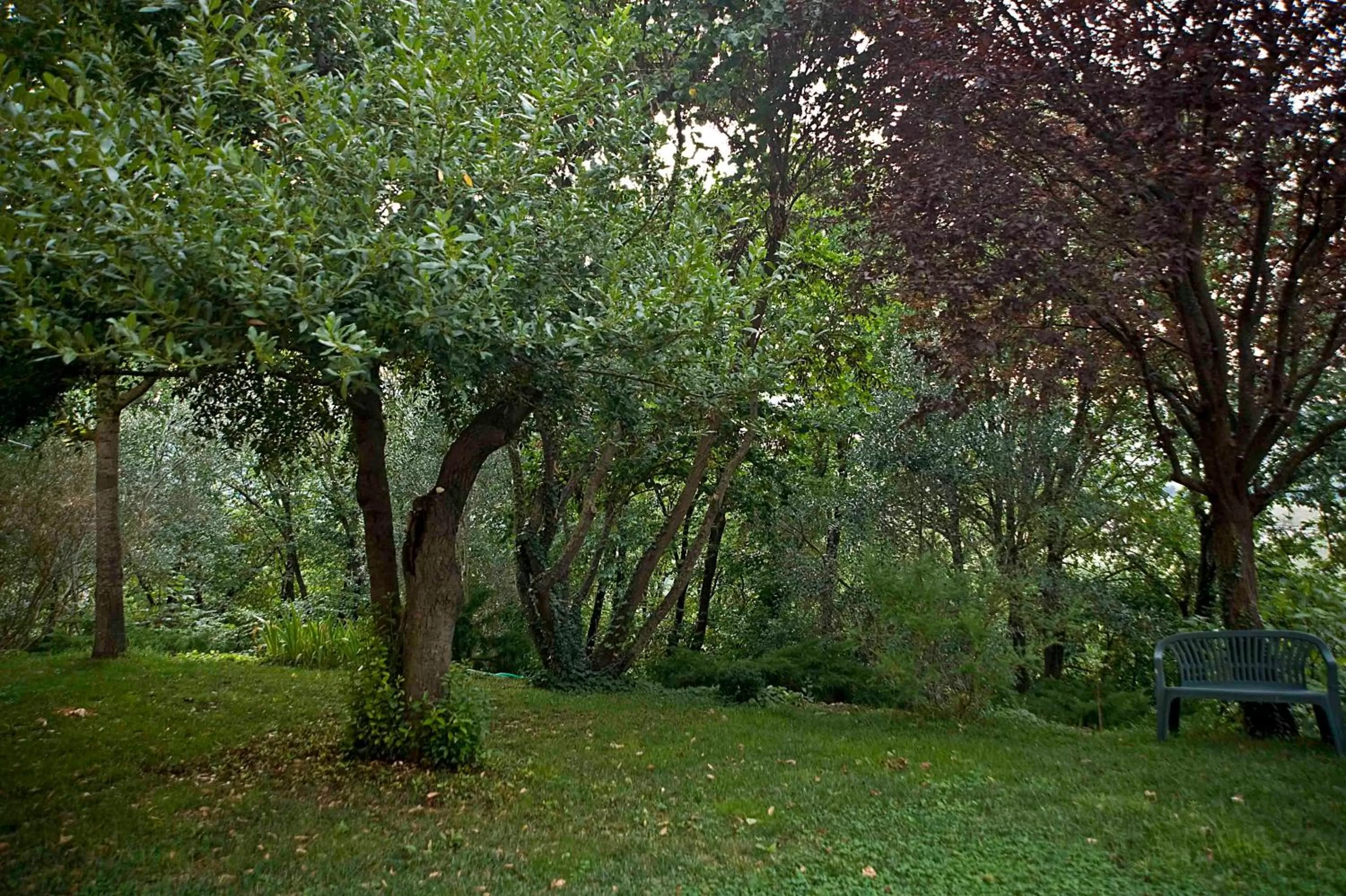 Garden in Casale del Monsignore