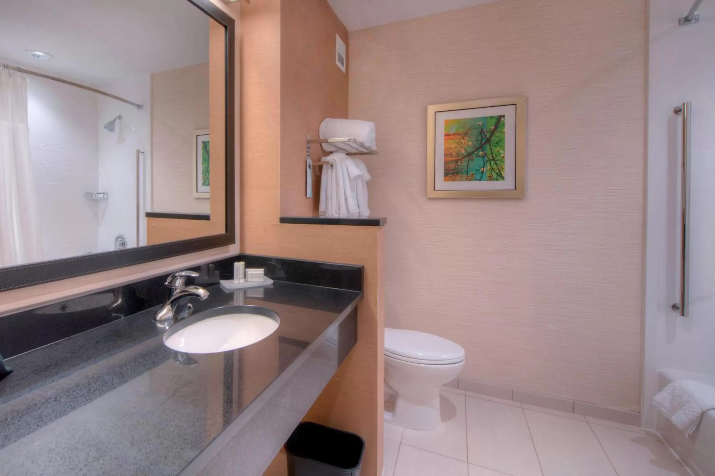 Bathroom in Fairfield Inn & Suites by Marriott Charlotte Airport