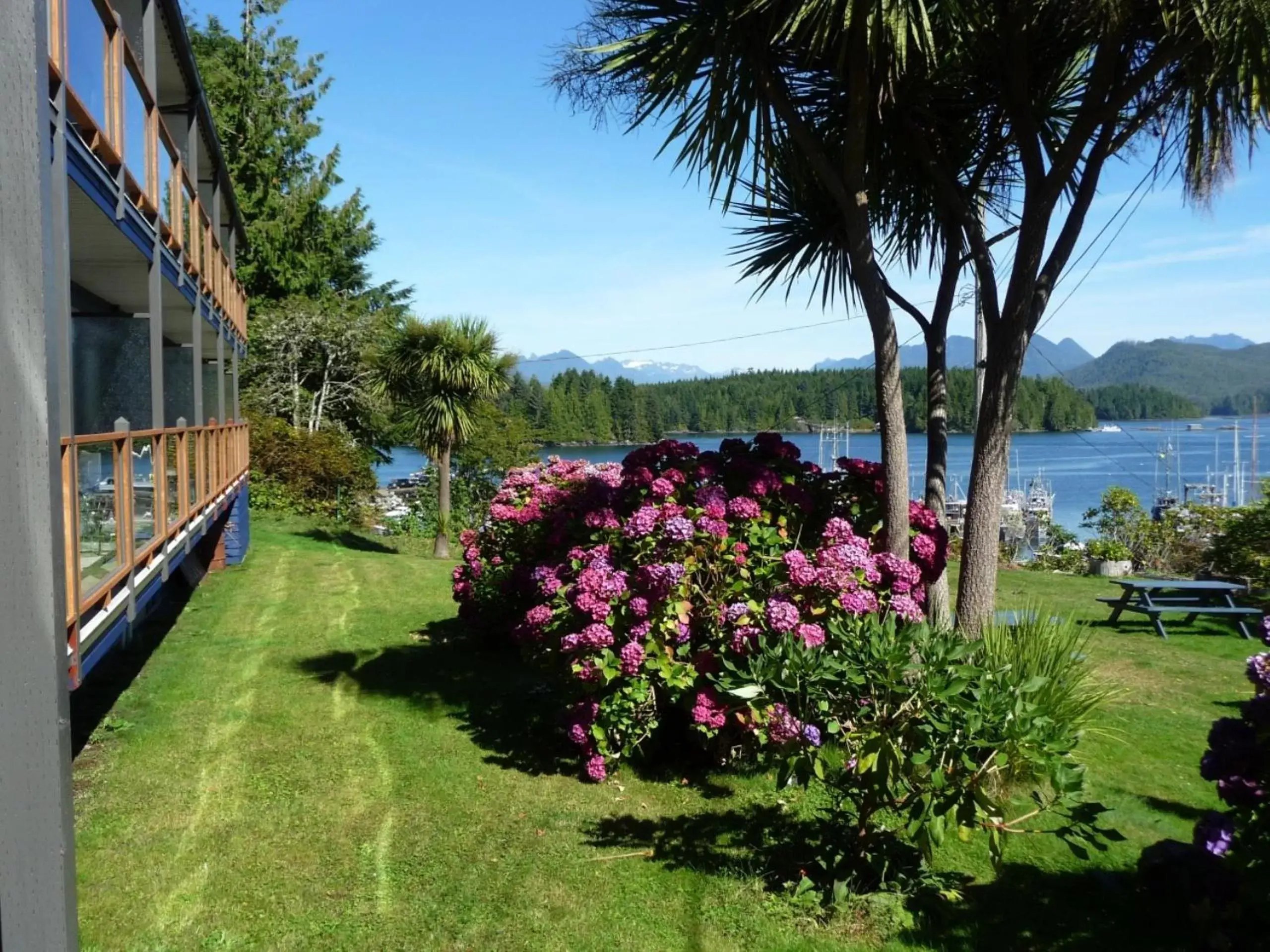 Facade/entrance, Garden in Tofino Motel Harborview