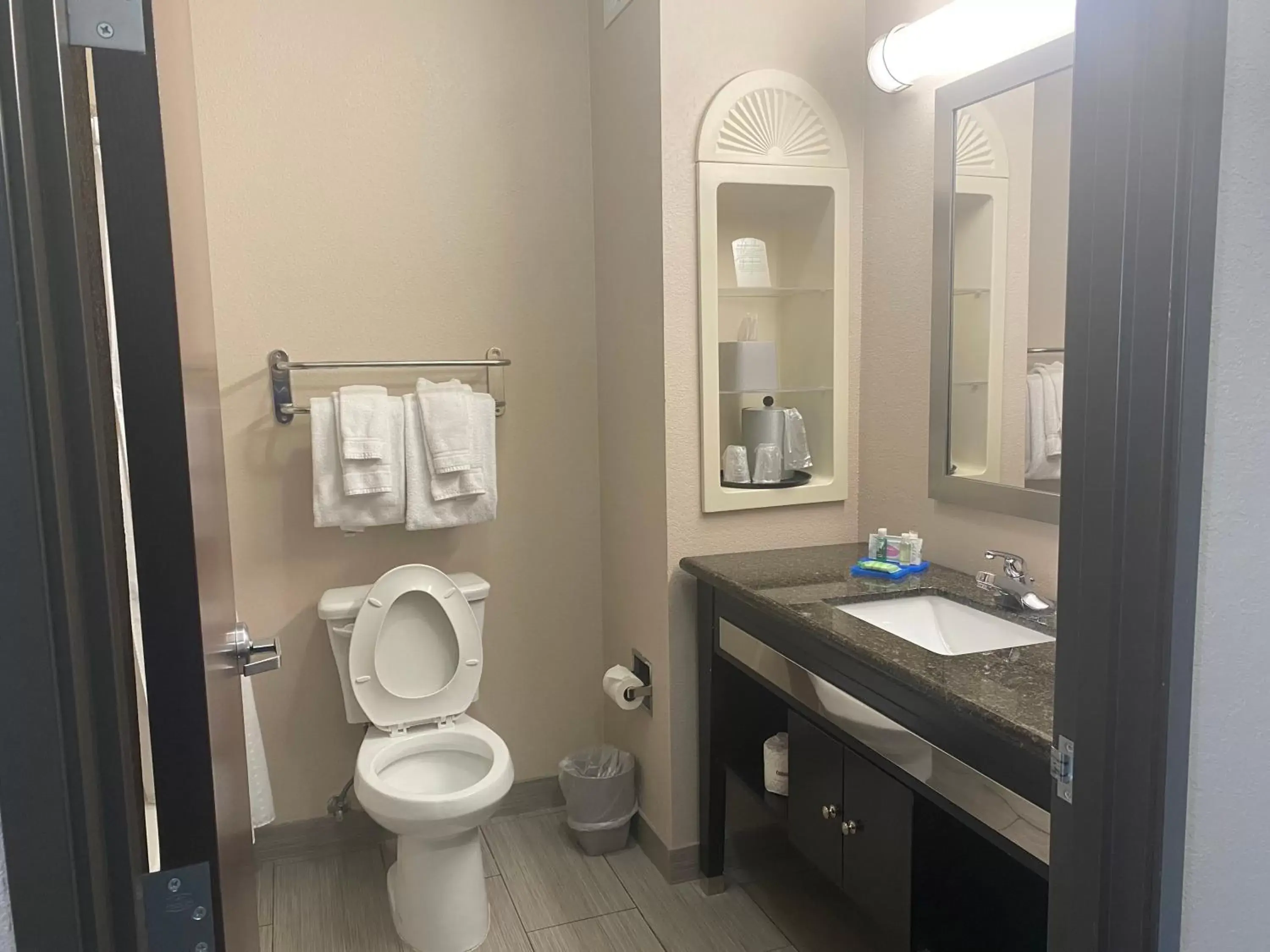 Bathroom in Holiday Inn Express Hotel and Suites Fort Stockton, an IHG Hotel
