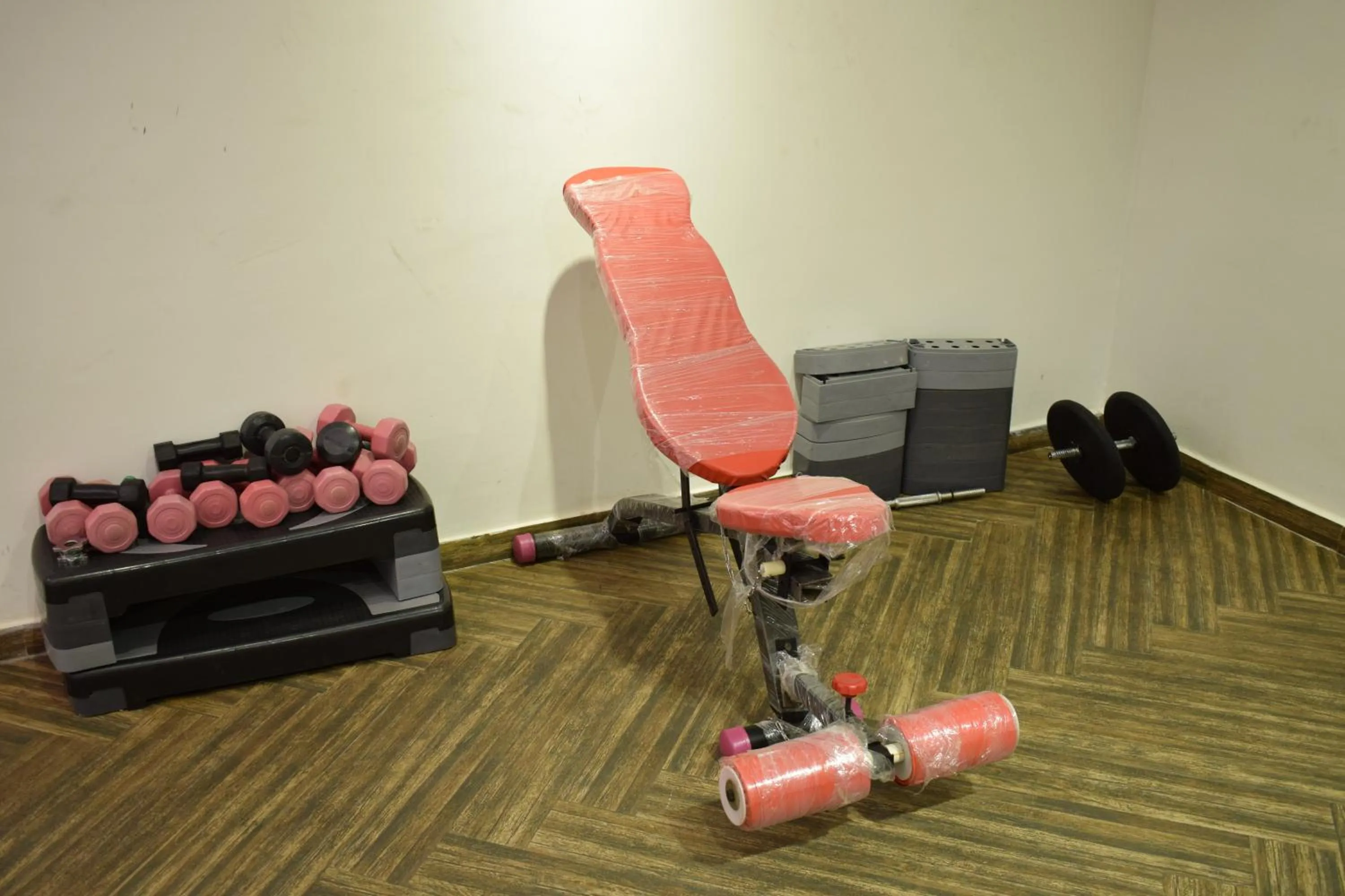 Fitness centre/facilities in Romance Alexandria Hotel