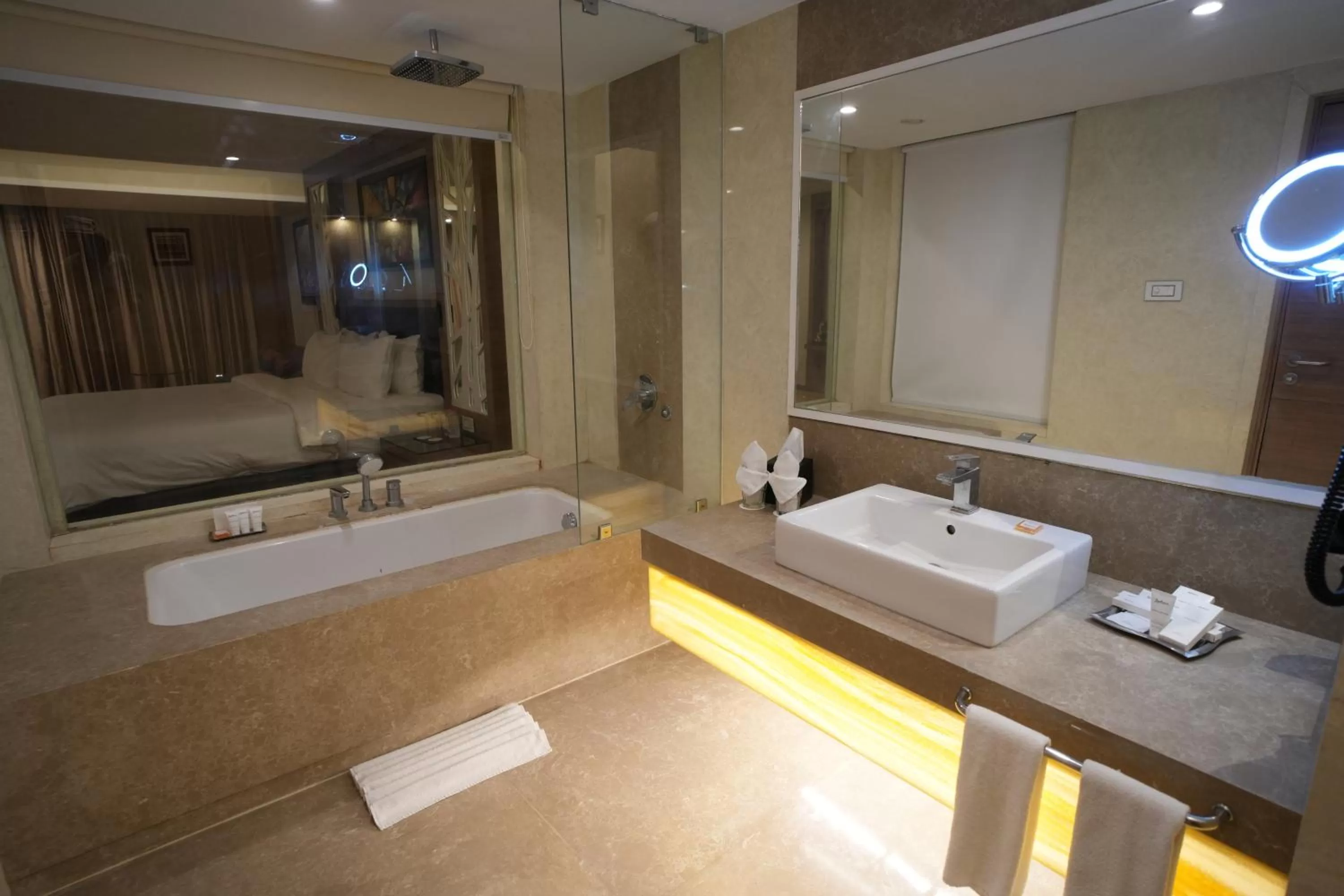 Bathroom in Radisson Udaipur