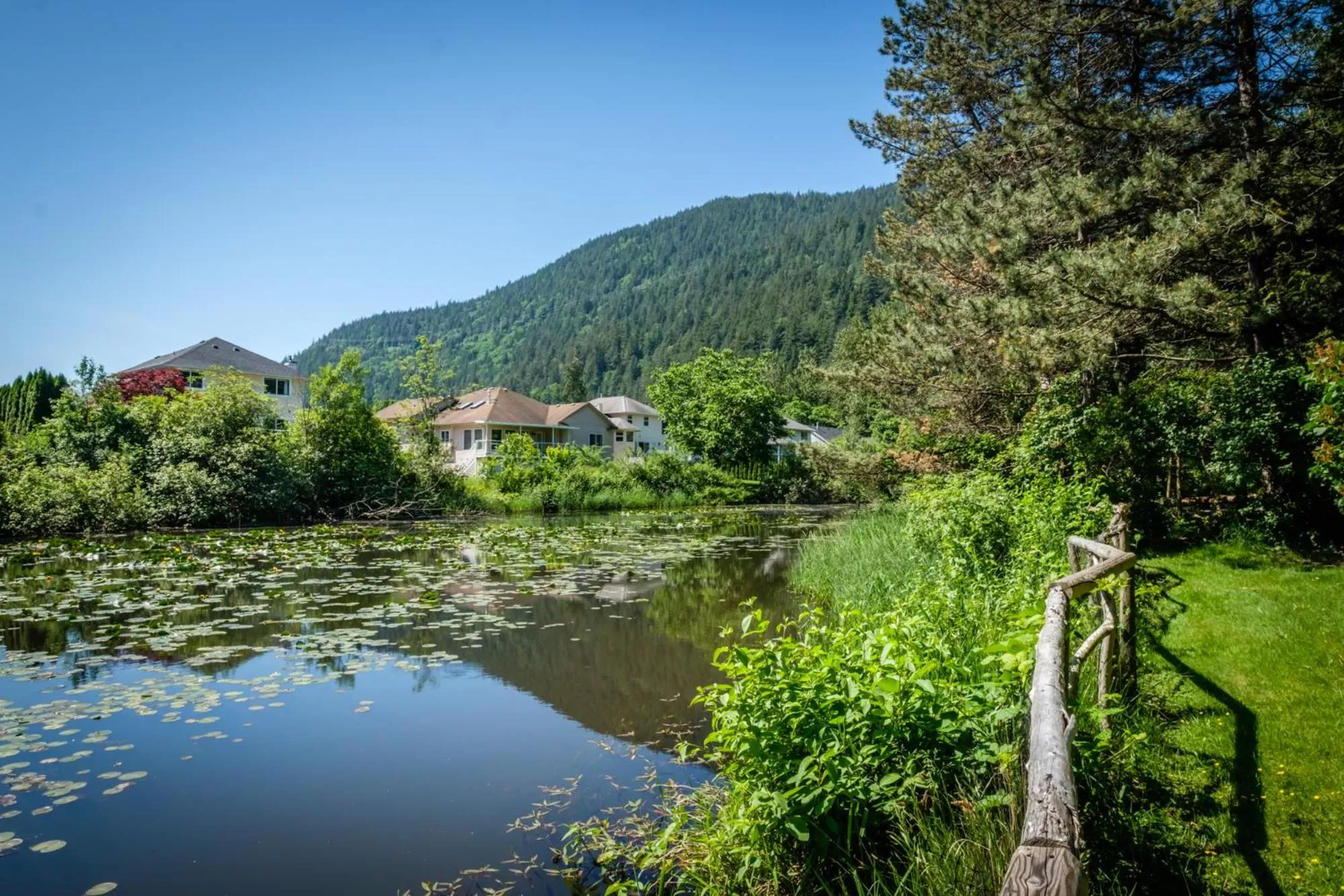Garden in Bramblebank Cottages