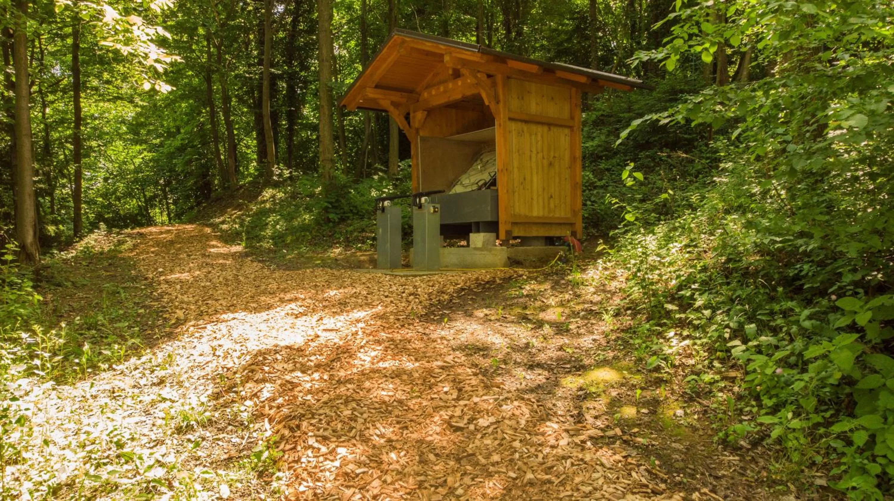 Sports in Adventure Farm