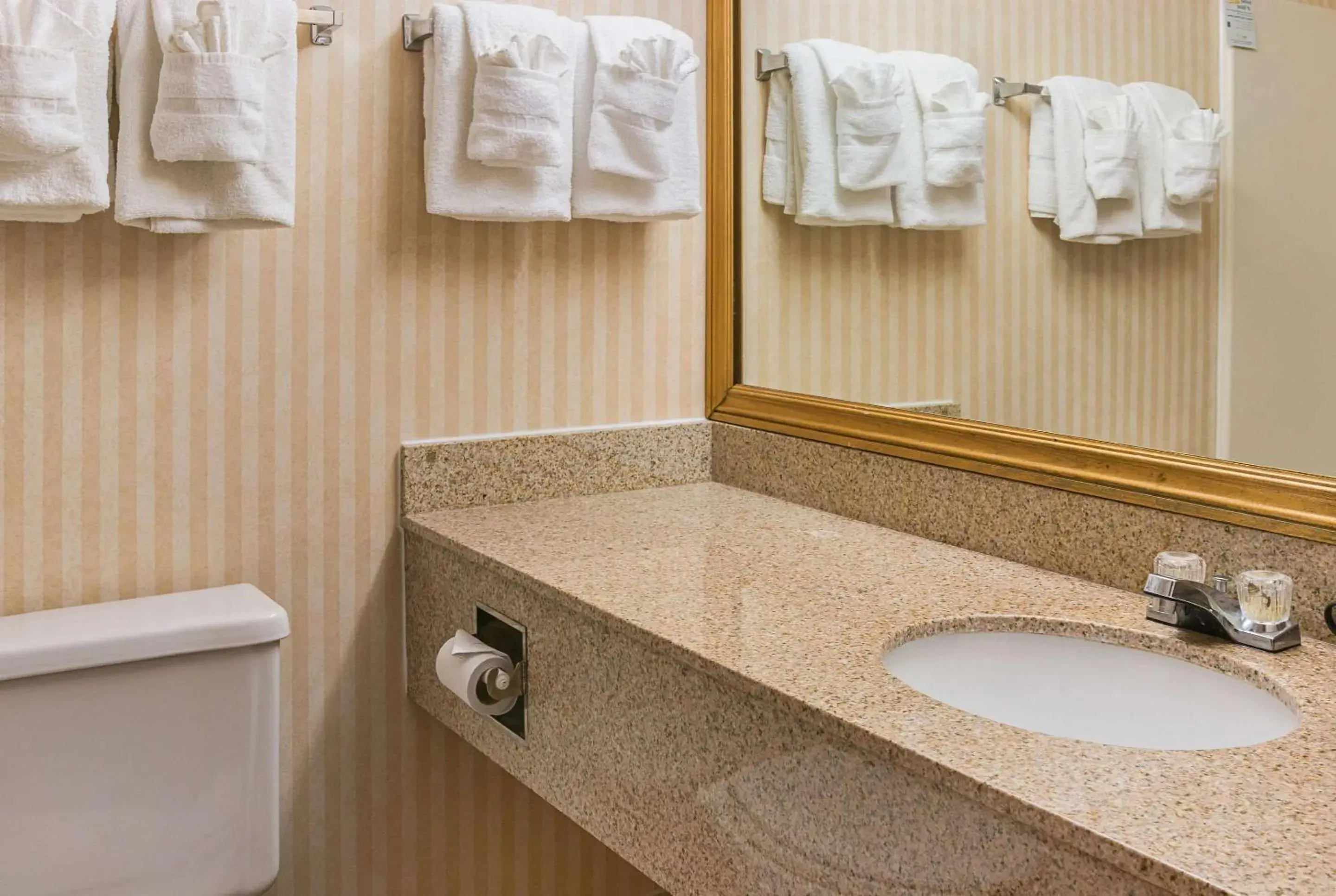 Bathroom in Quality Inn & Suites Detroit Metro Airport Bathroom in Quality Inn & Suites Detroit Metro Airport