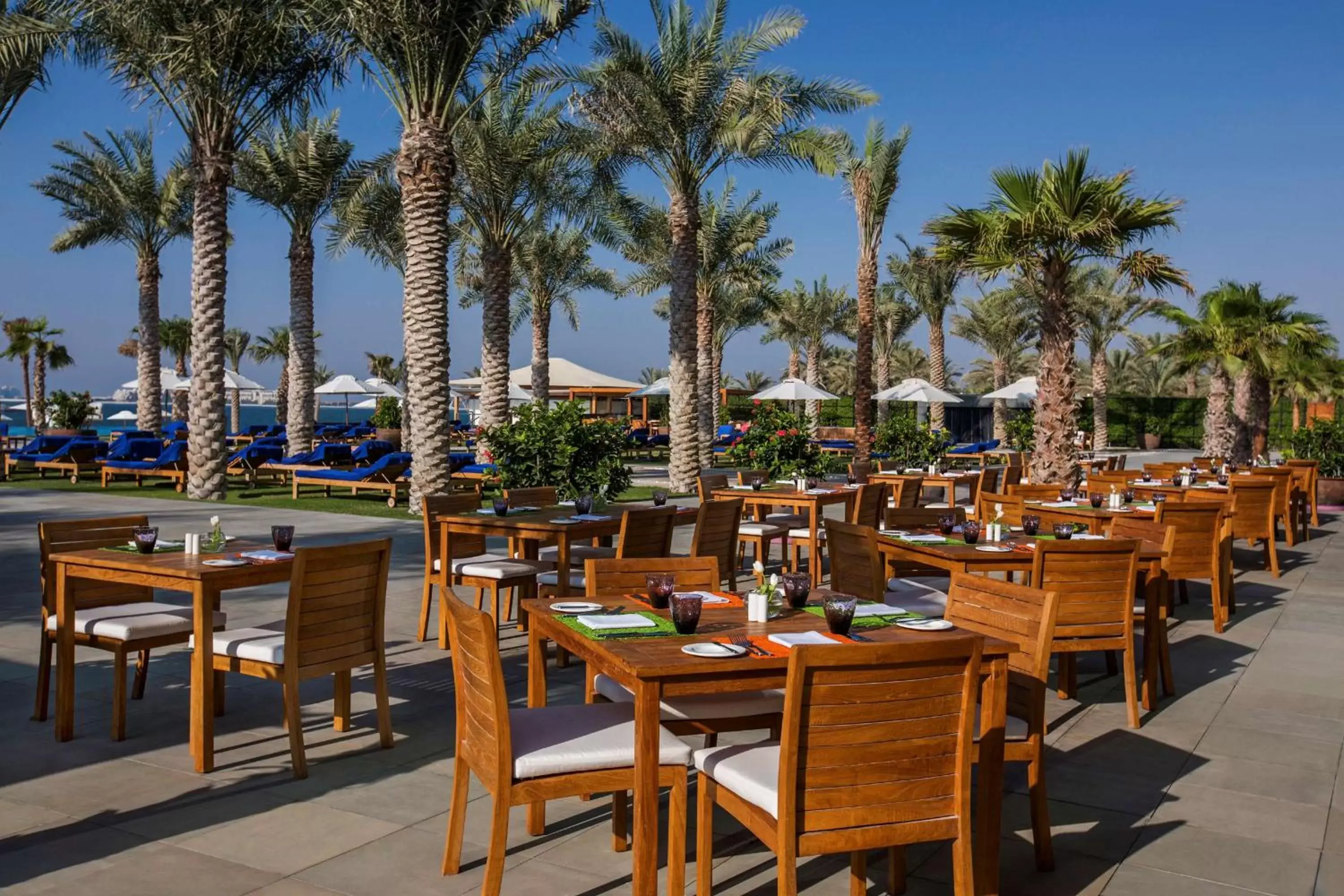 Restaurant/Places to Eat in DoubleTree by Hilton Dubai Jumeirah Beach