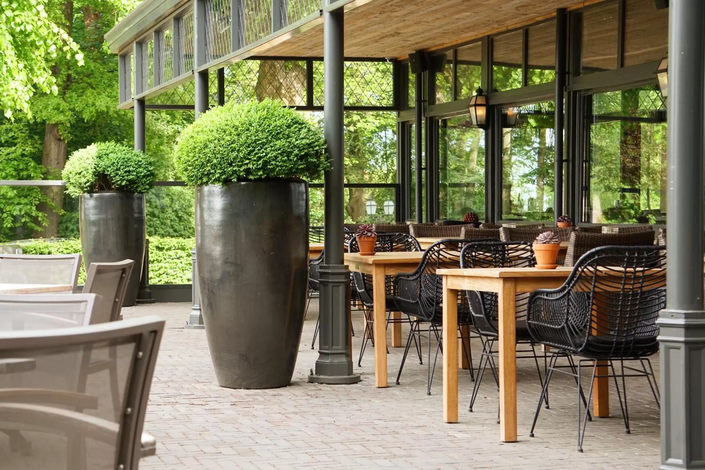 Patio, Restaurant/Places to Eat in Hotel Restaurant De Wolfsberg