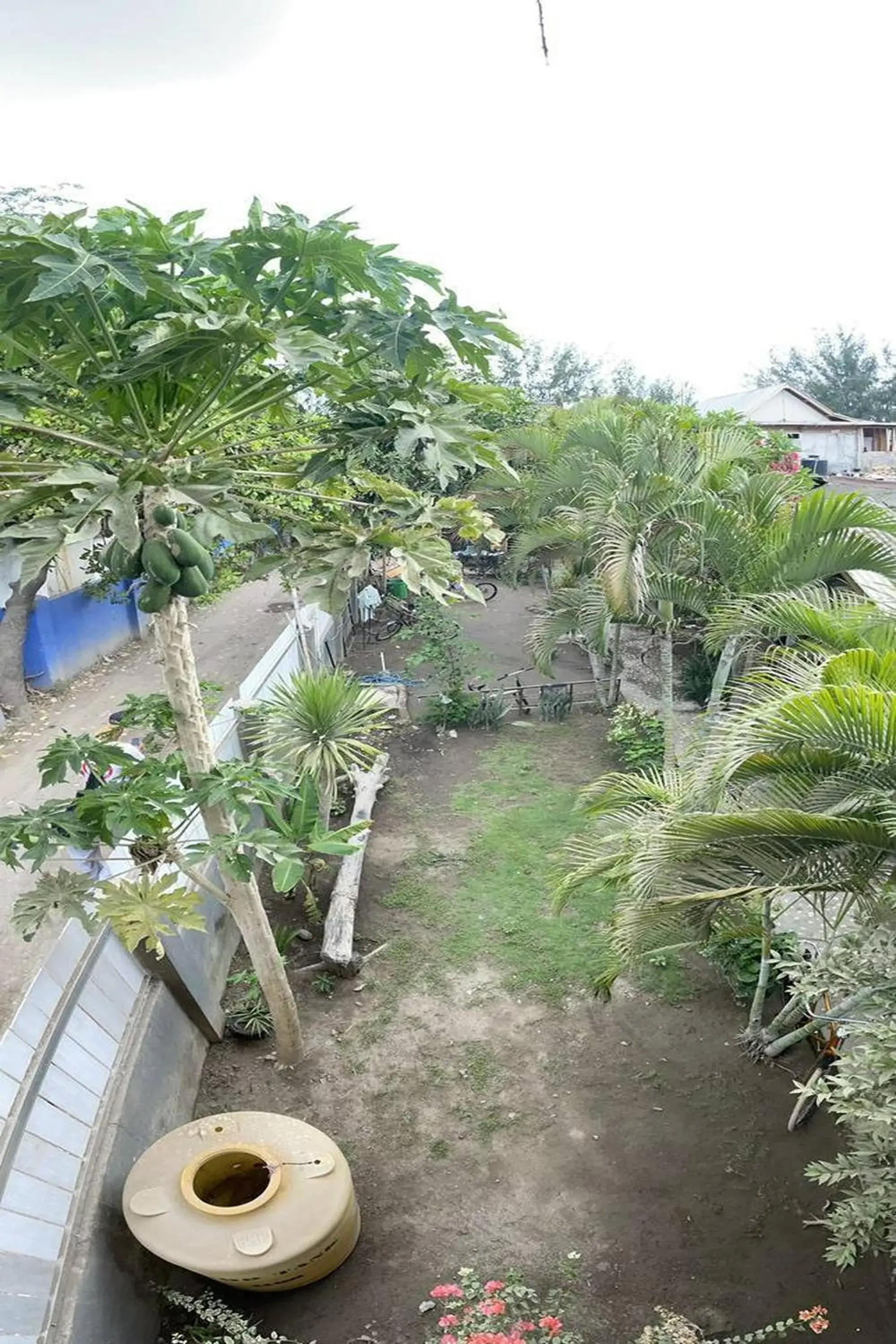 Property building in Sagita Bungalow Property building in Sagita Bungalow