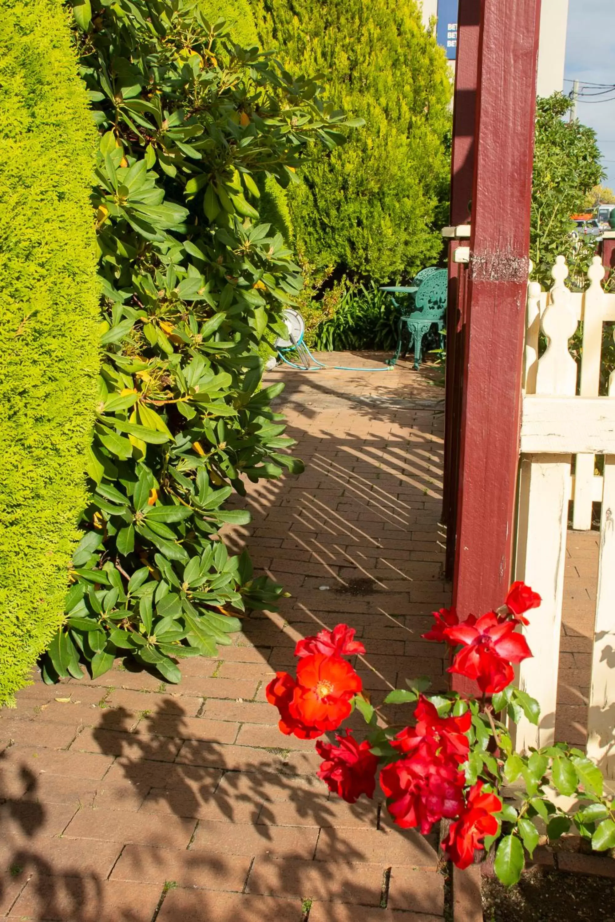 Garden view in Nebula Motel Garden view in Nebula Motel