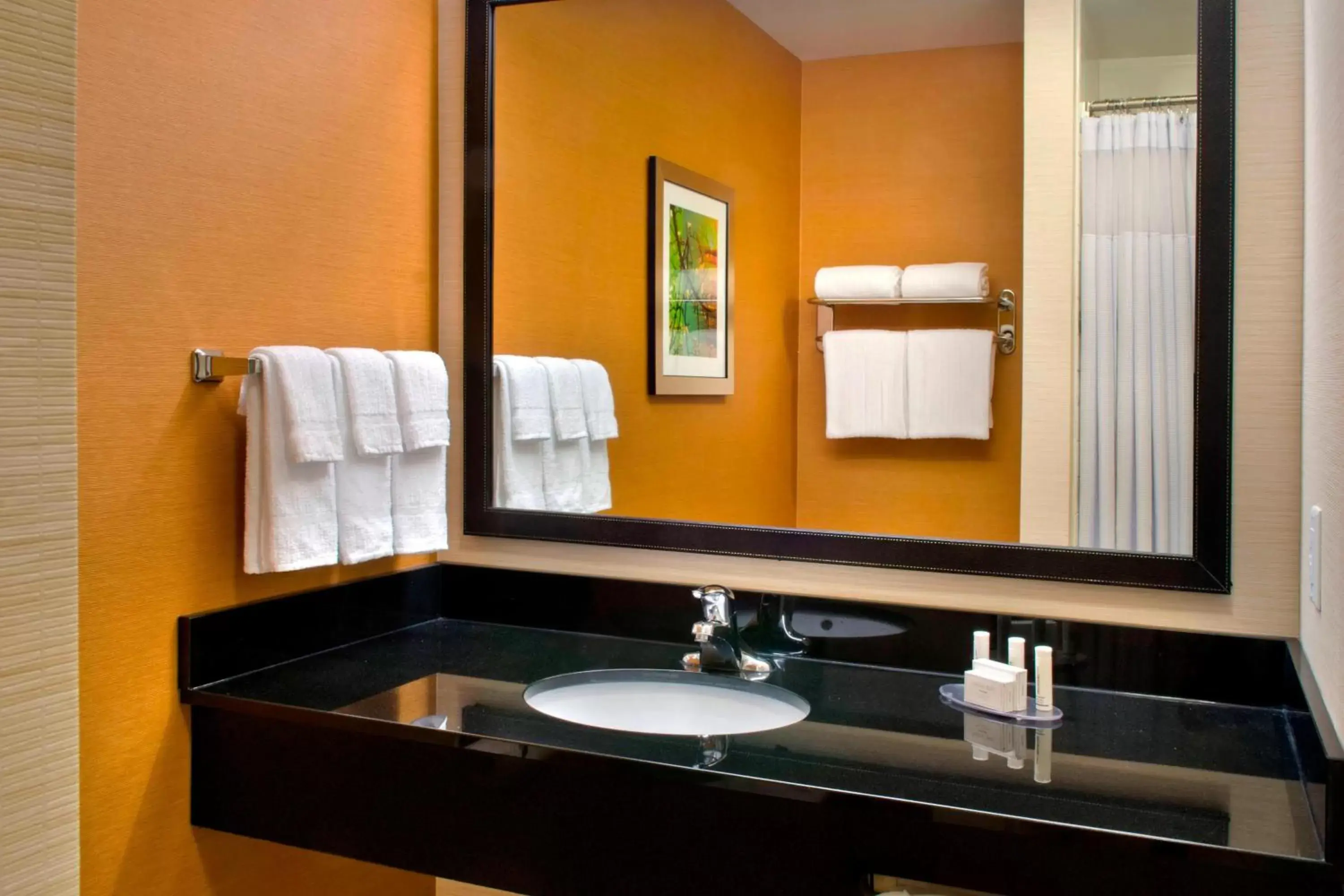 Bathroom in Fairfield Inn & Suites by Marriott Watertown Thousand Islands