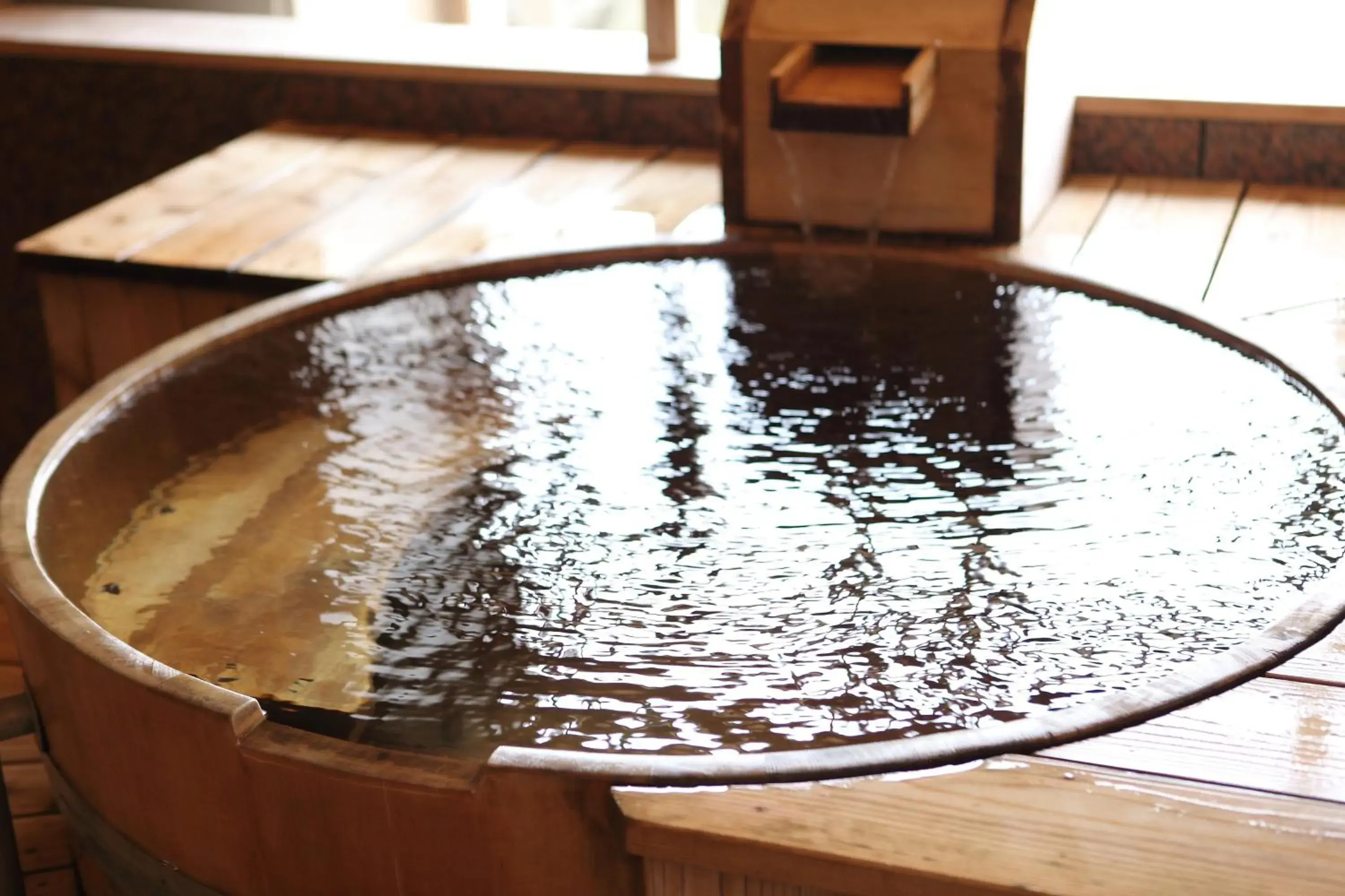 Hot Spring Bath, Swimming Pool in Ryokan Oomuraya