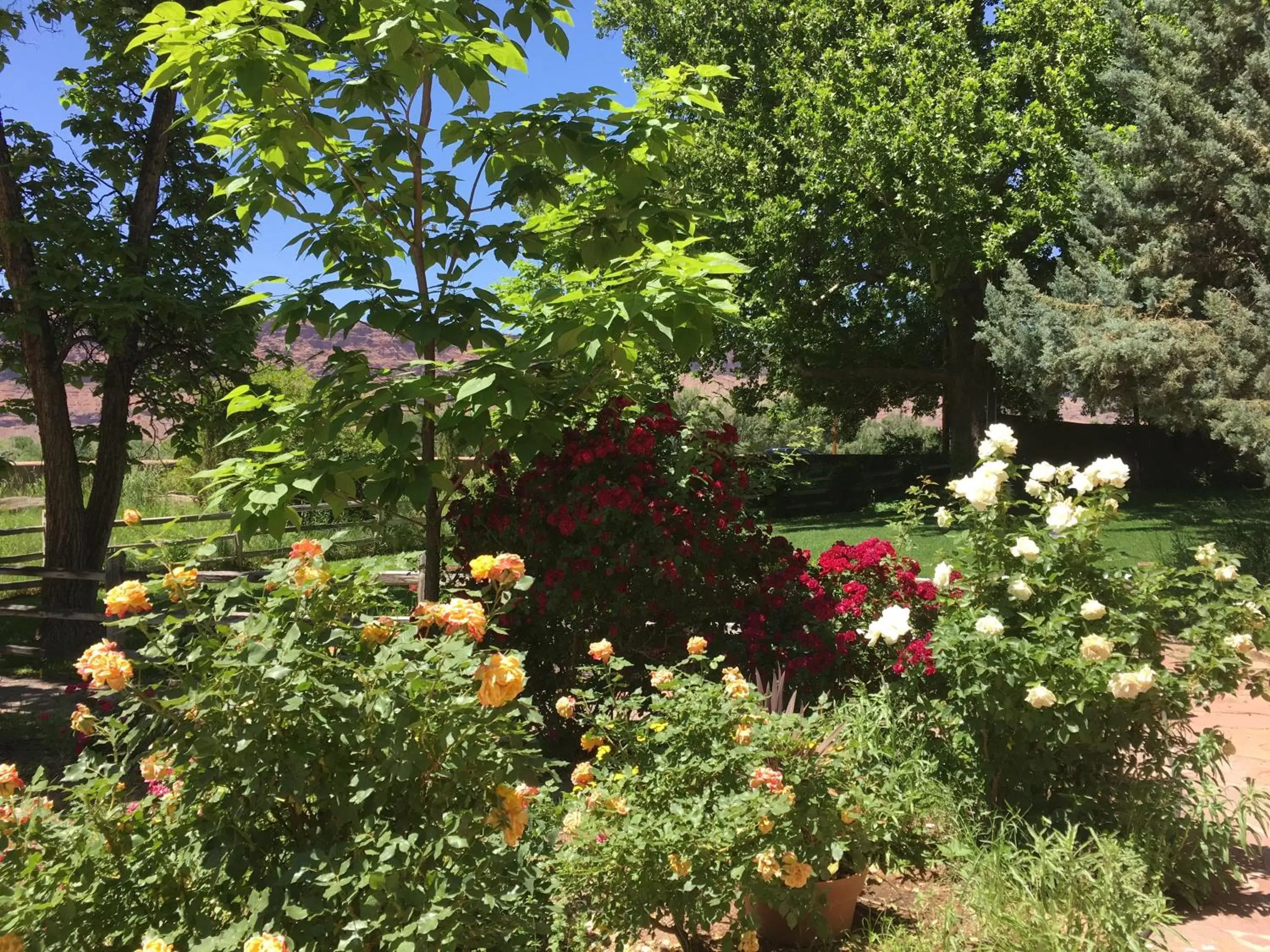 Garden in Moab Springs Ranch