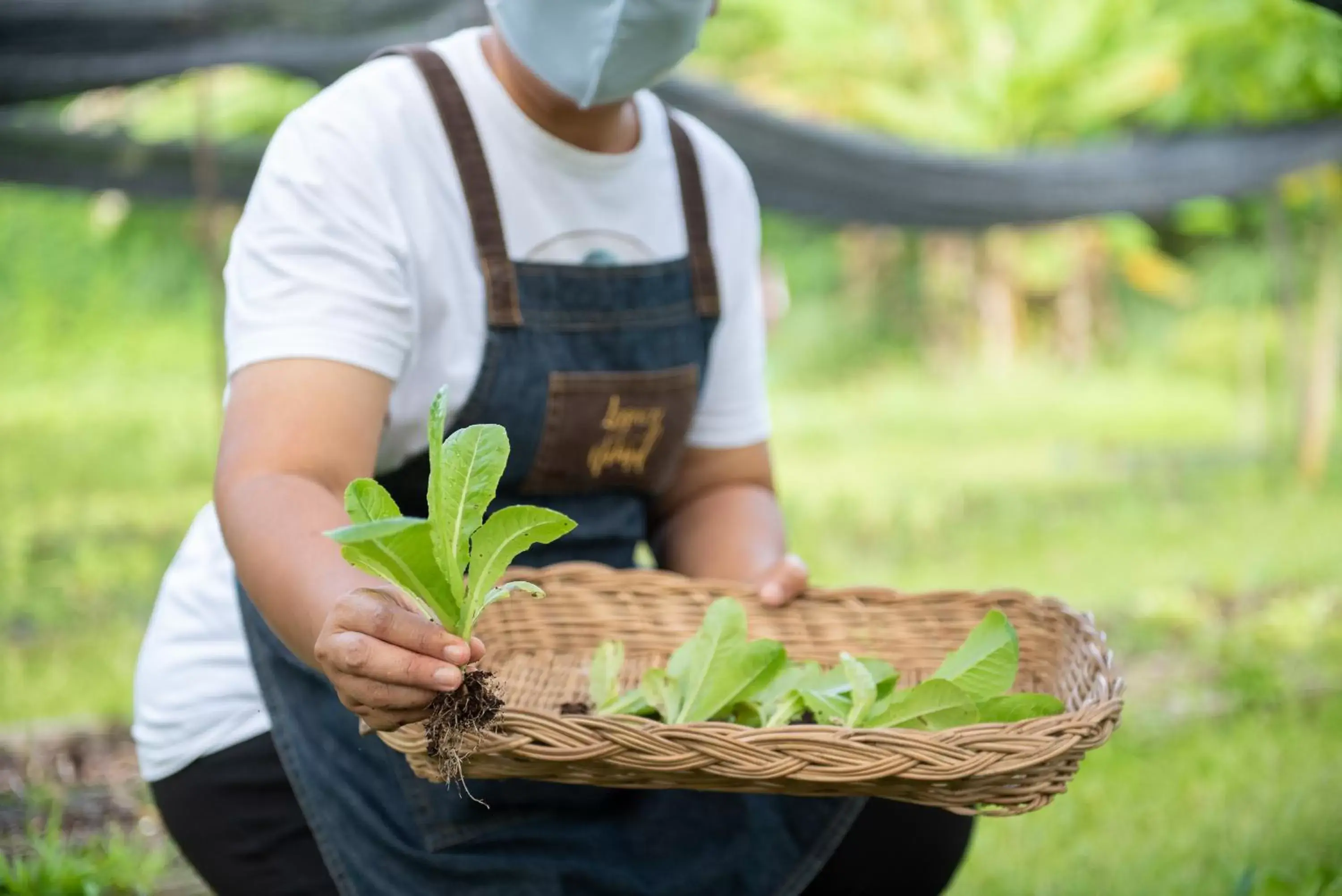 Activities in The Legacy River Kwai Resort