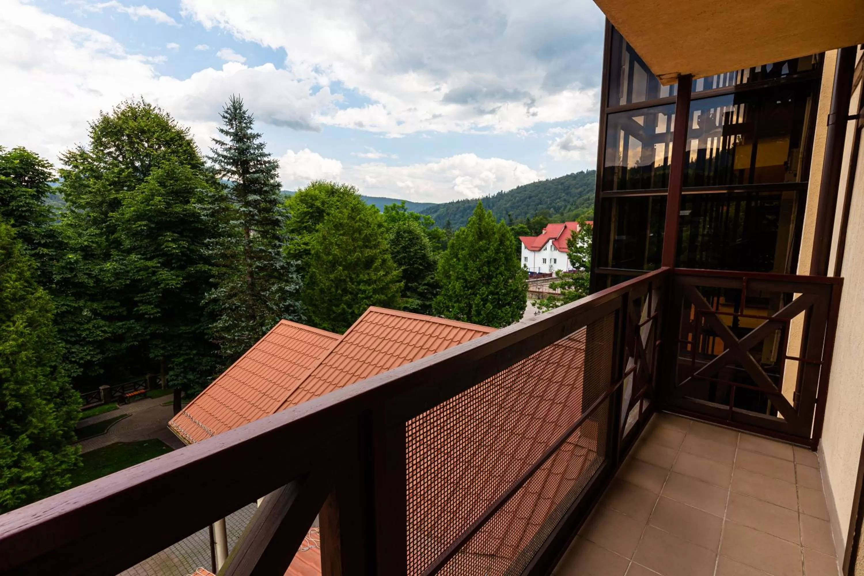 Mountain view in Edelweiss