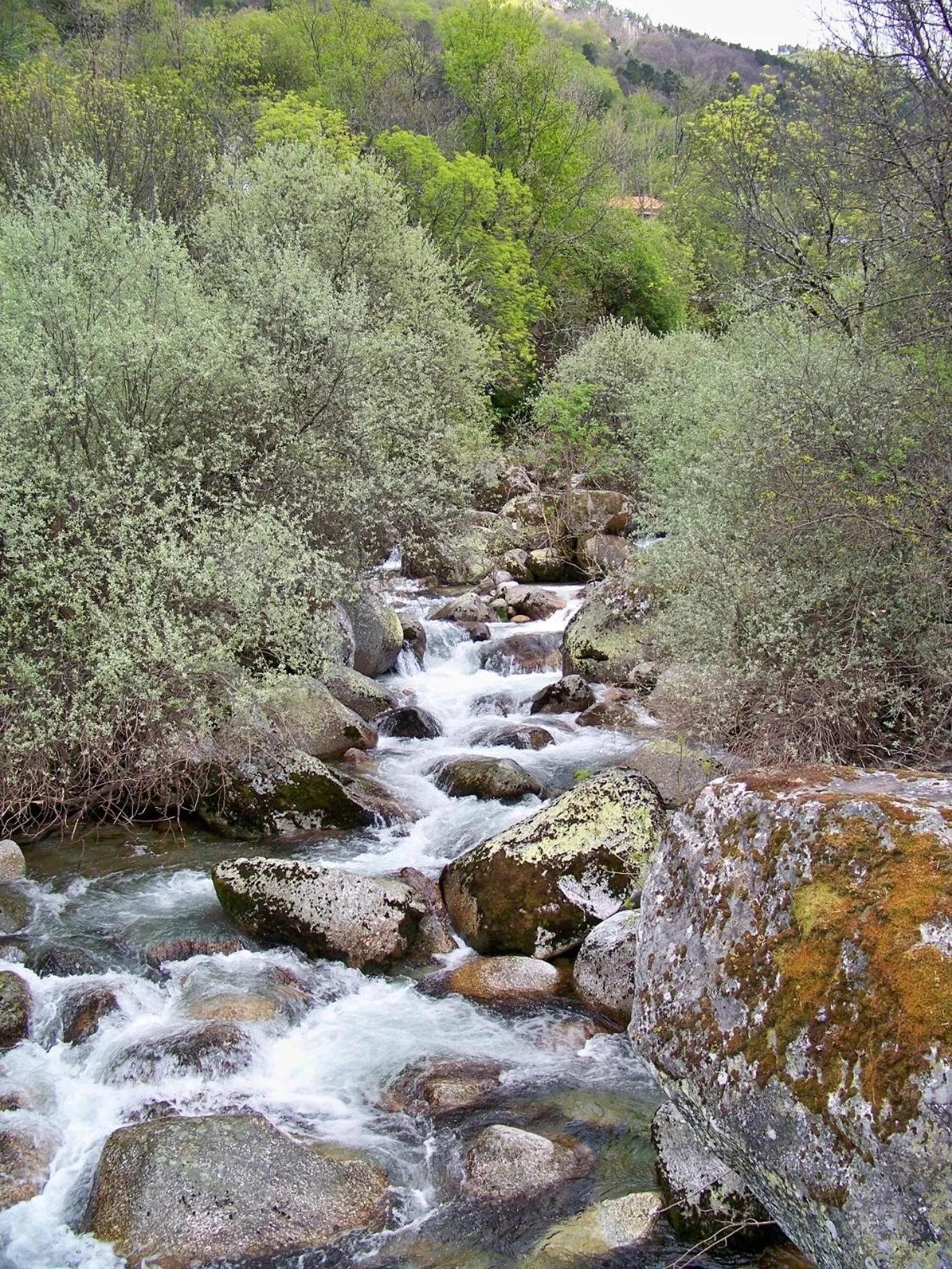 Natural landscape in INATEL Manteigas