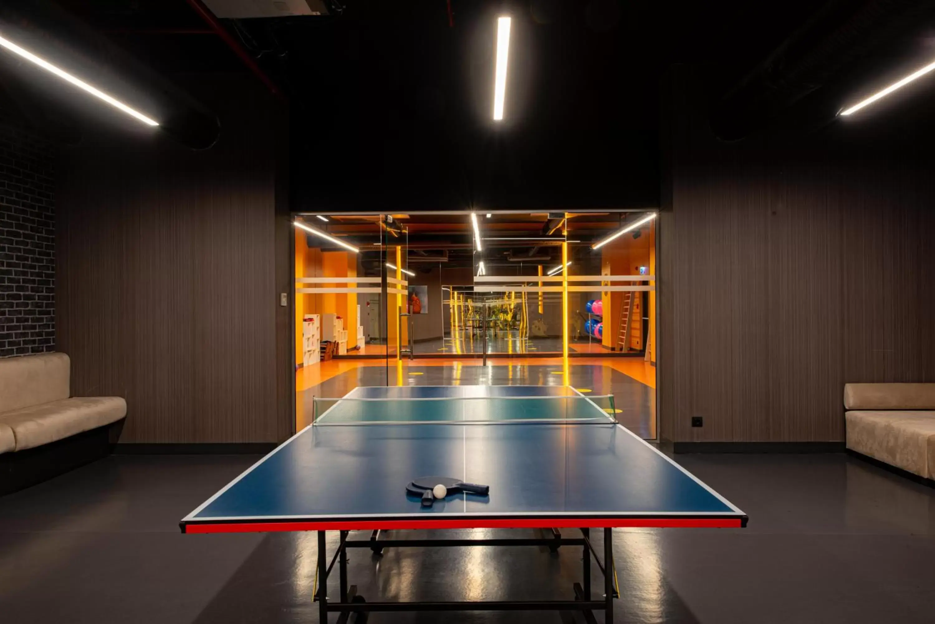 Table Tennis in The Craton Hotel Sisli