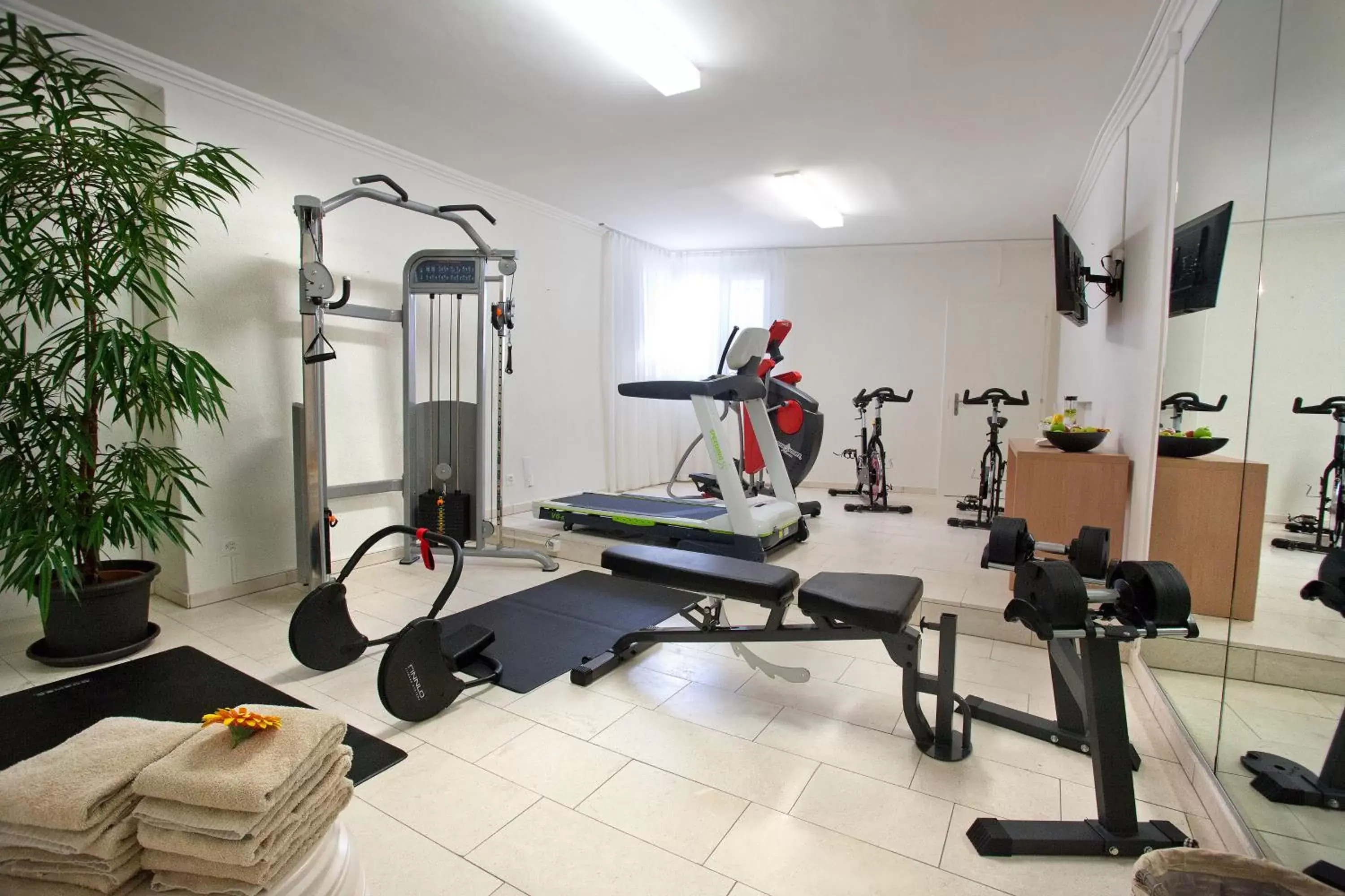 Fitness centre/facilities, Fitness Center/Facilities in Hotel la Palma au Lac