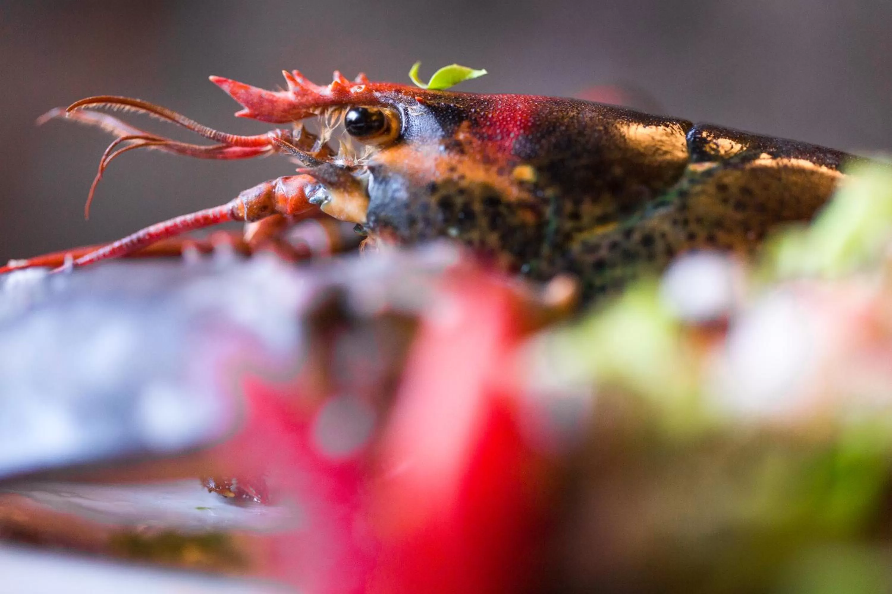 Food close-up in Hotel Larrañaga