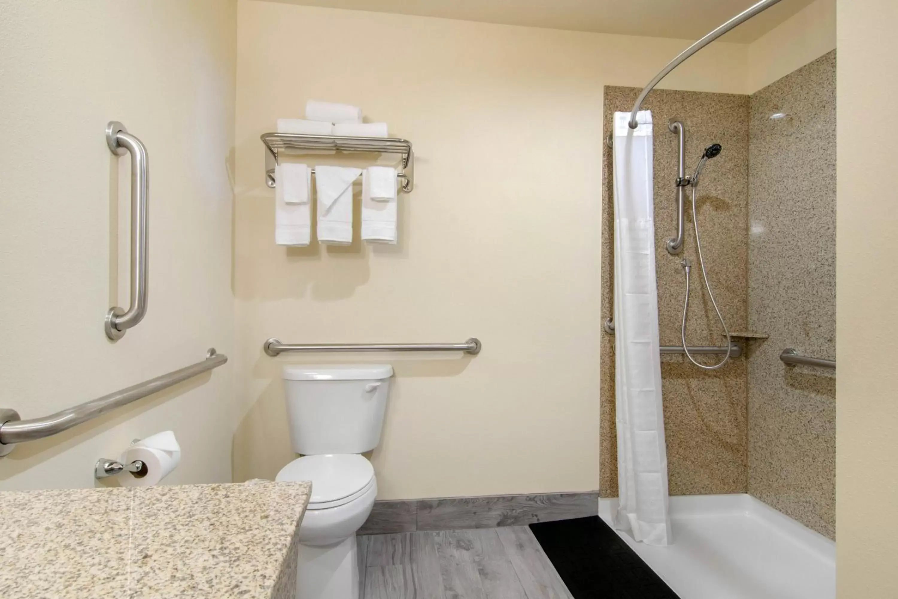 Bathroom in Econo Lodge Inn & Suites