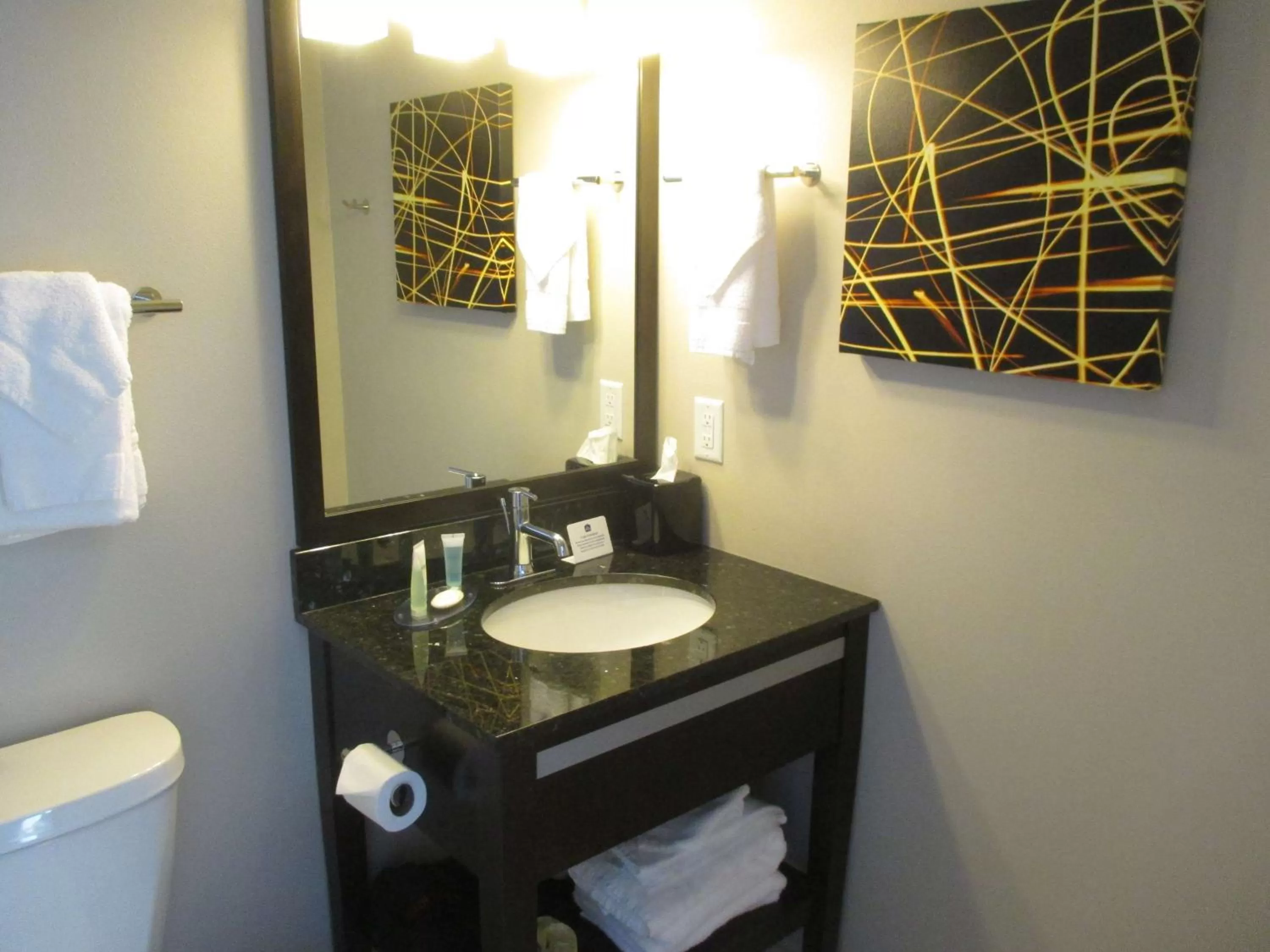Bathroom in Best Western Harvest Inn & Suites