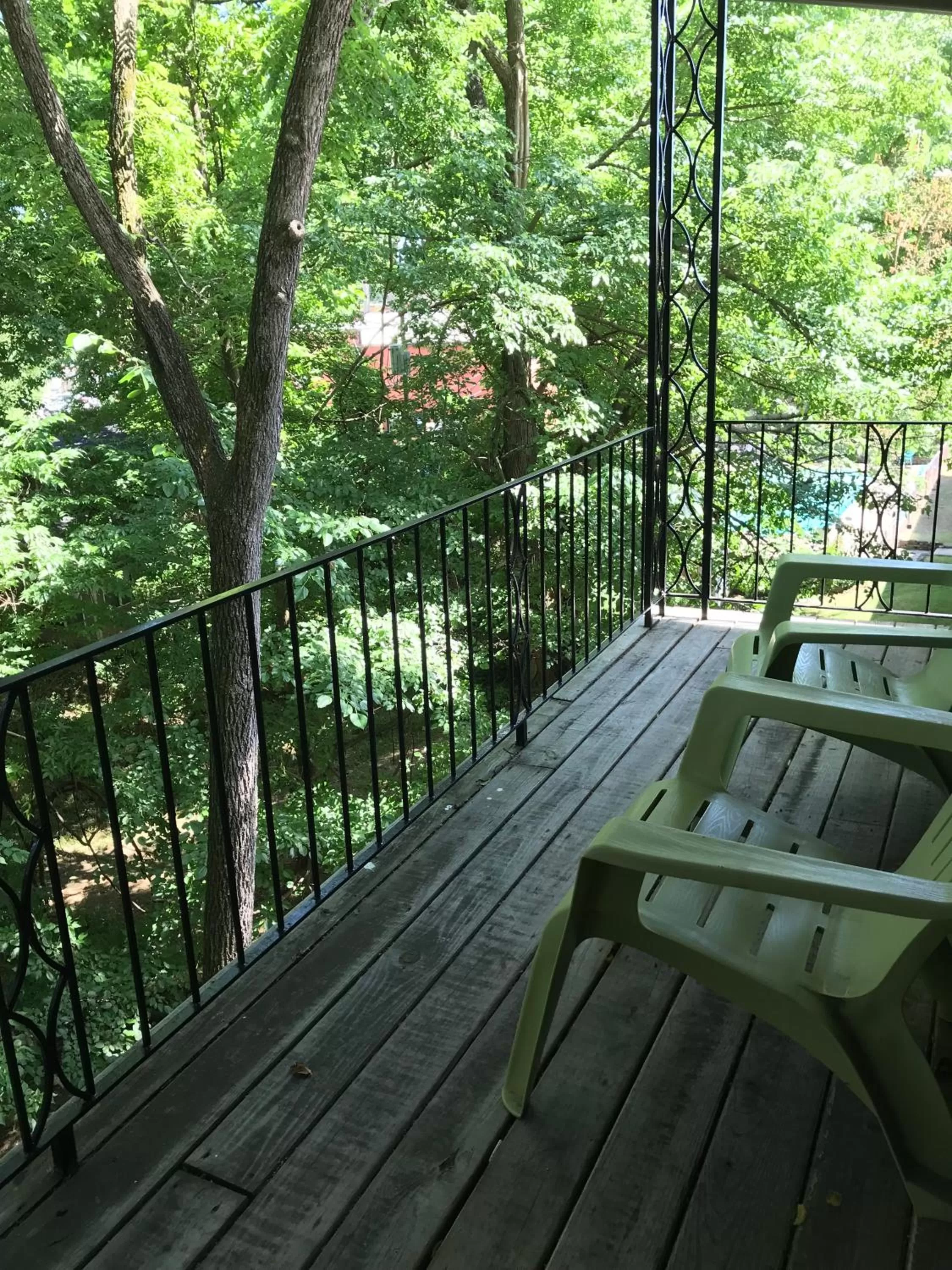 View (from property/room), Balcony/Terrace in The Wanderoo Lodge