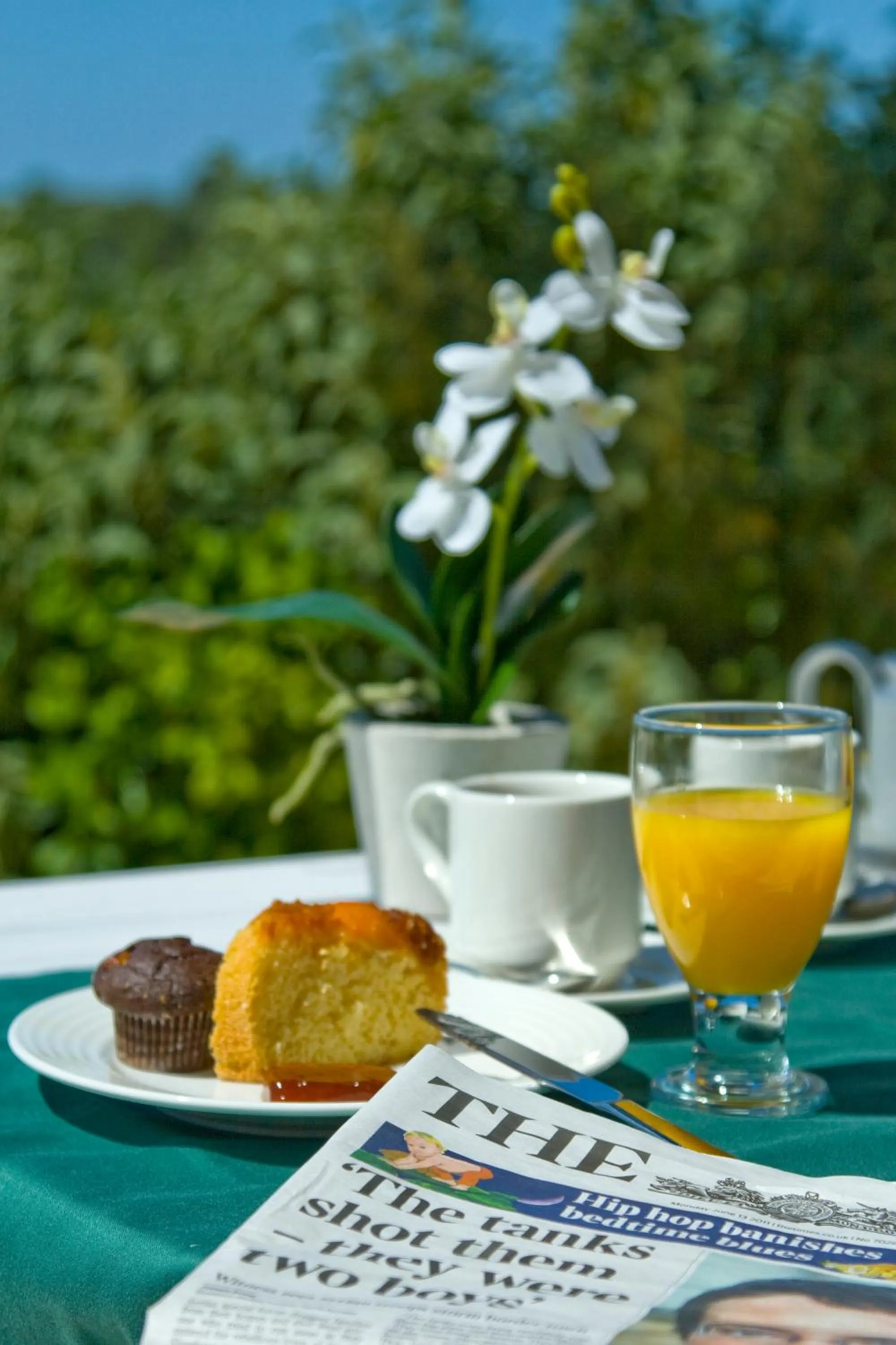 Restaurant/places to eat in Hotel Rural Binigaus Vell