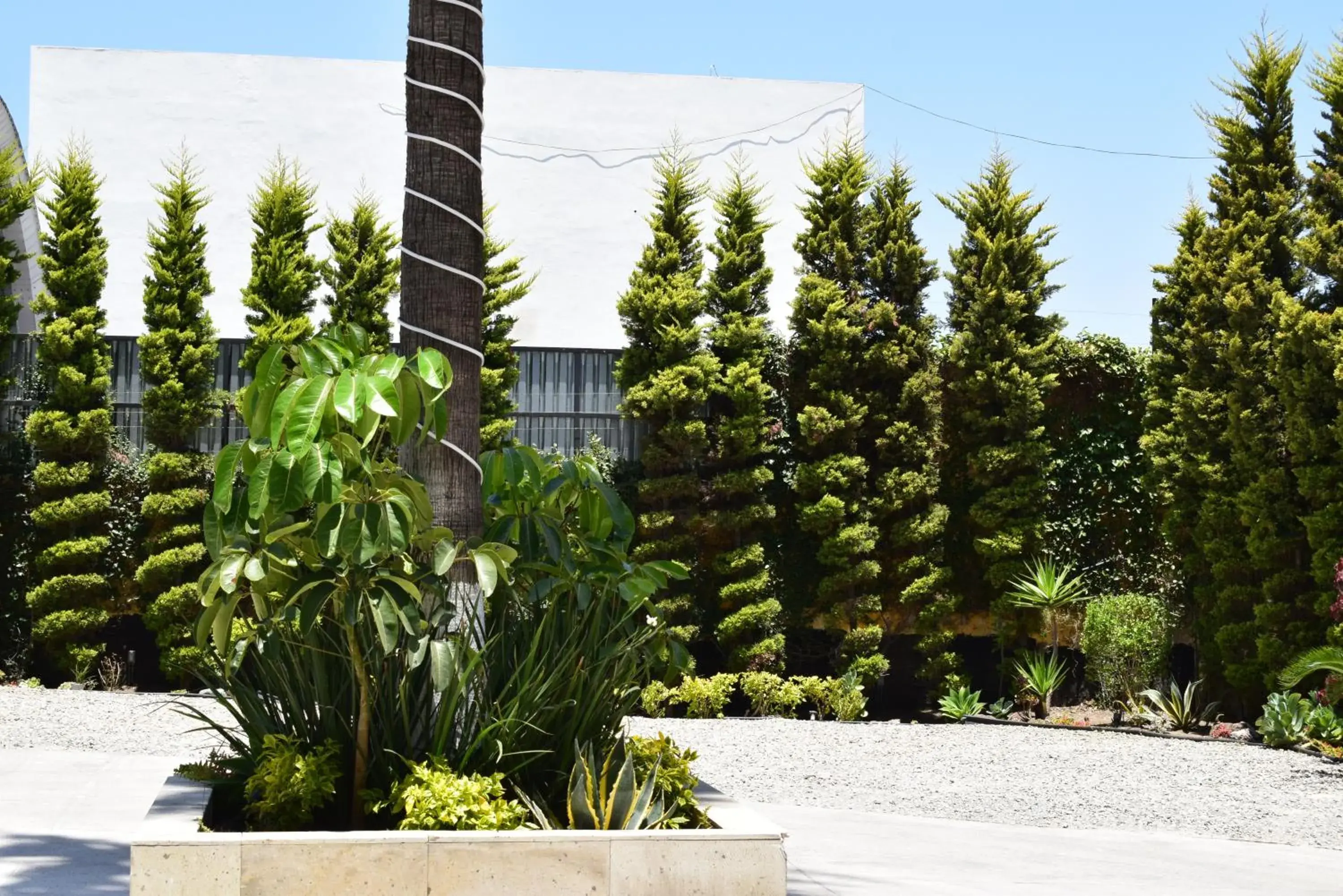 Patio, Property Building in Hotel Pacific