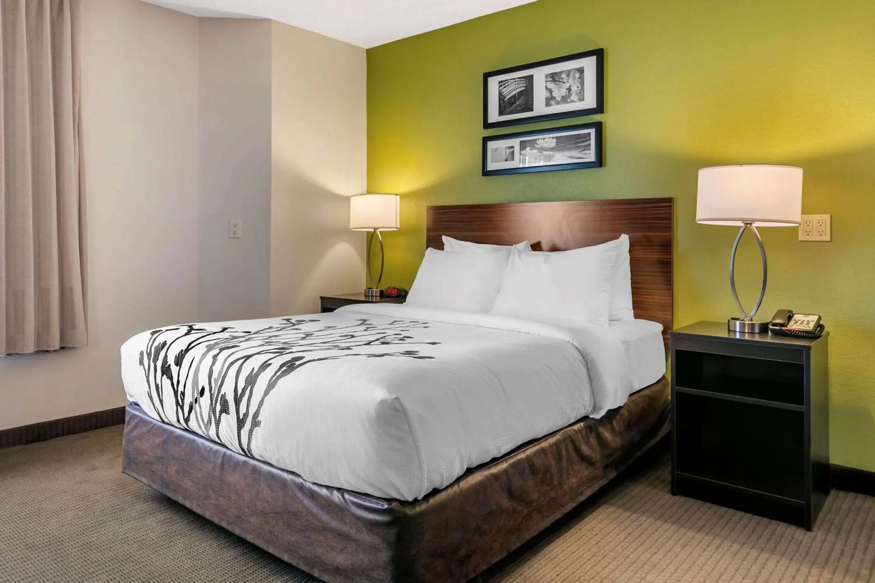 Queen Room - Accessible/Nonsmoking in Sleep Inn Allentown-Fogelsville