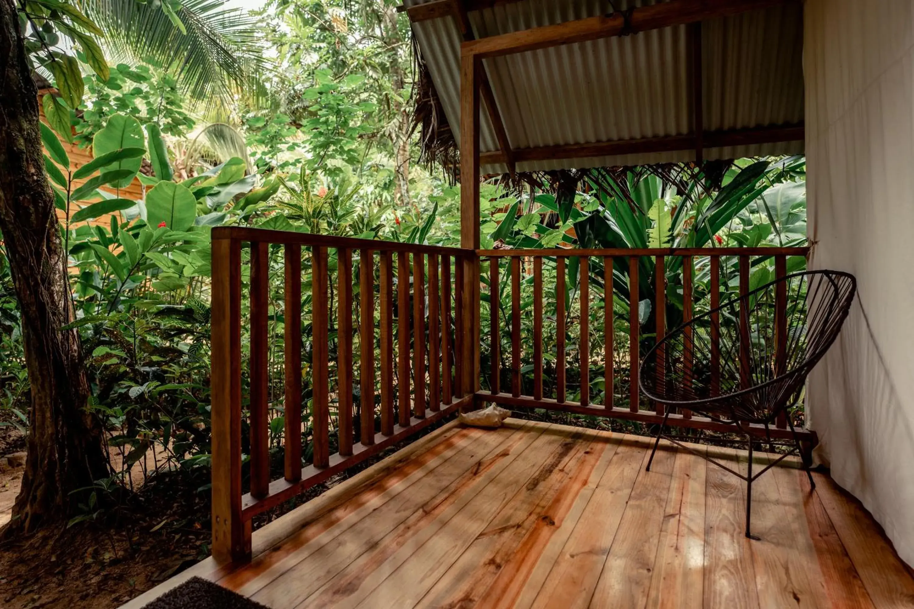 Seating area, Balcony/Terrace in Palmar Beach Lodge