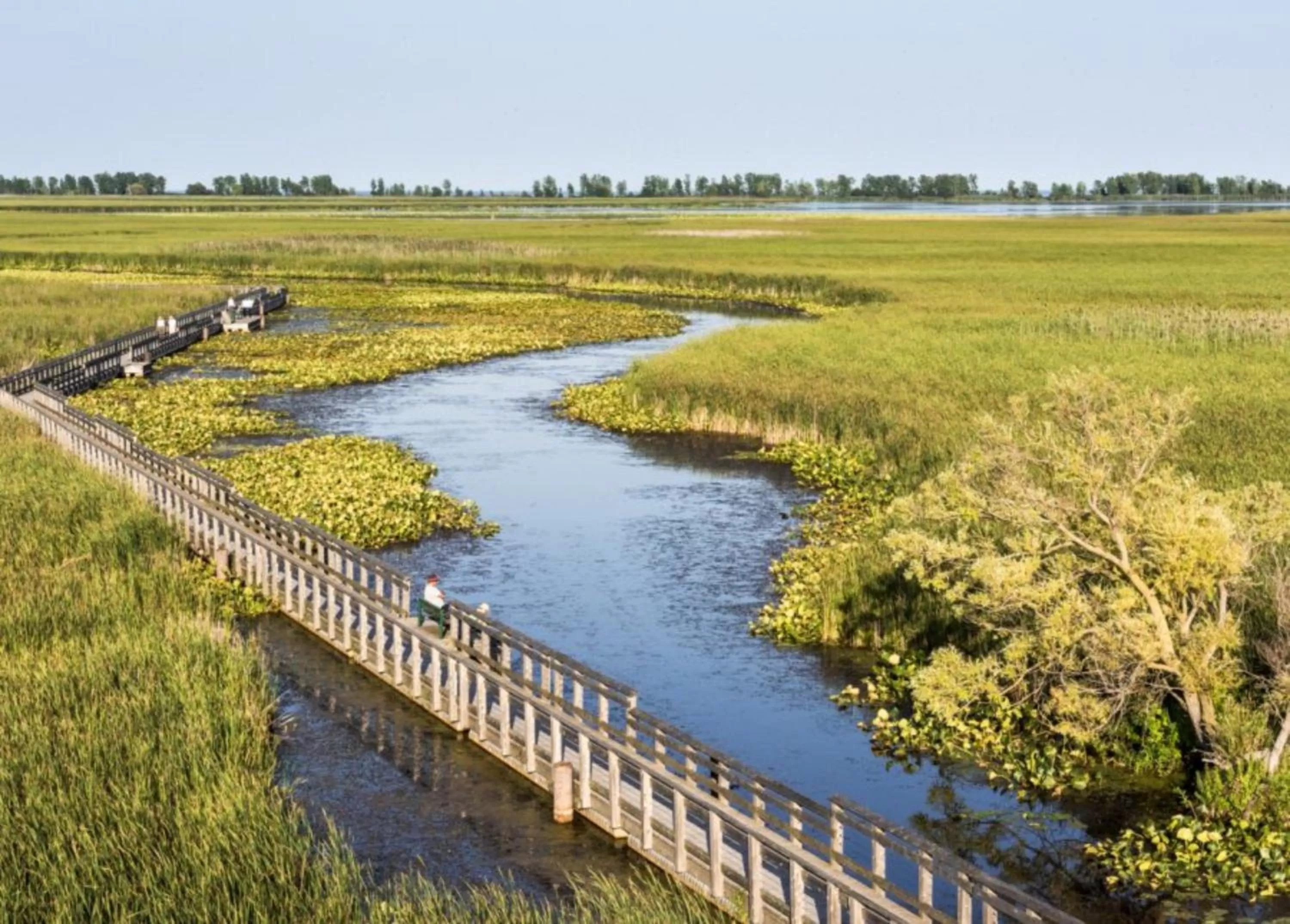 Nearby landmark in Holiday Inn Express & Suites Windsor East - Lakeshore by IHG