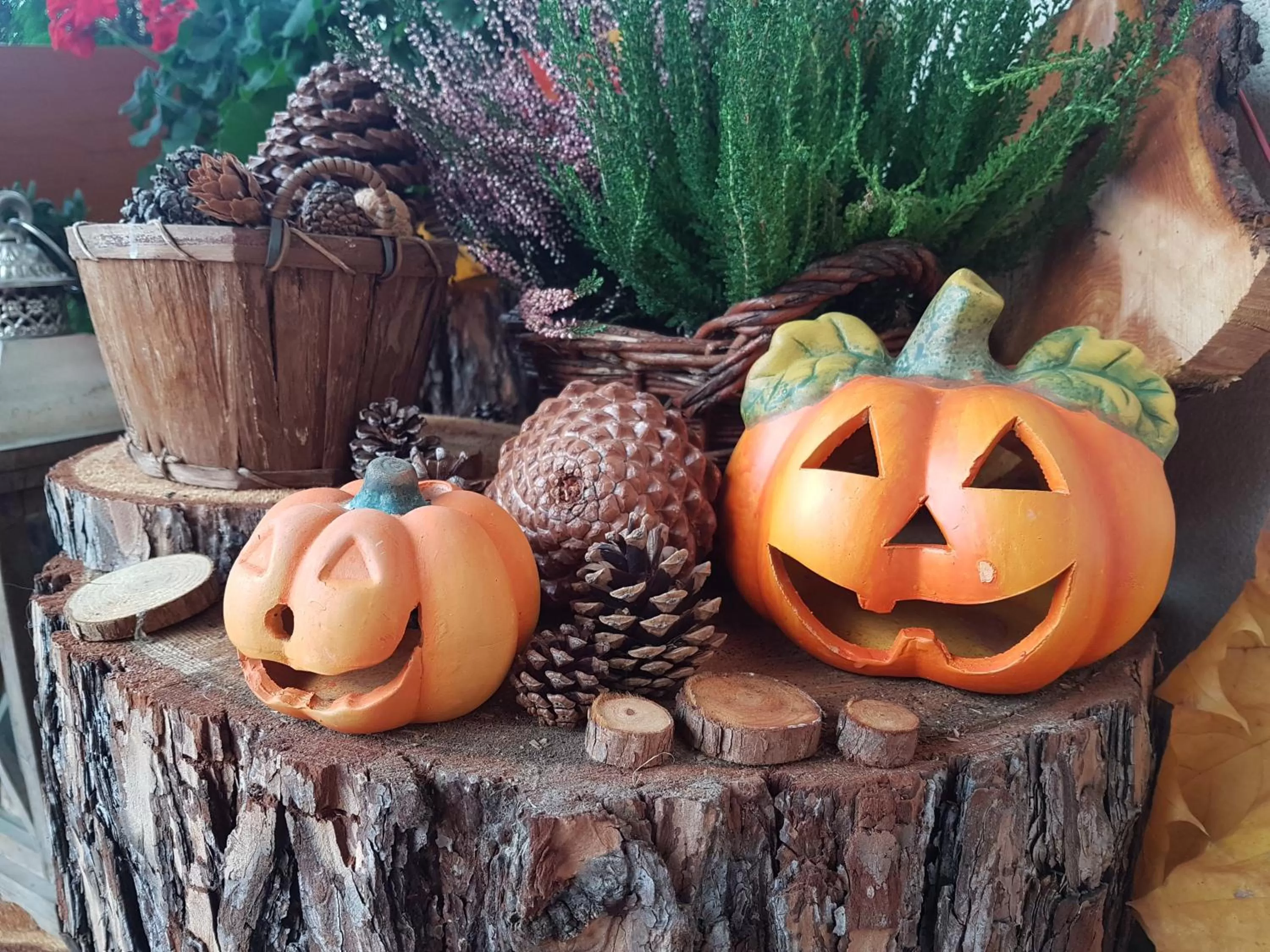 Leśny Dworek Zakopane