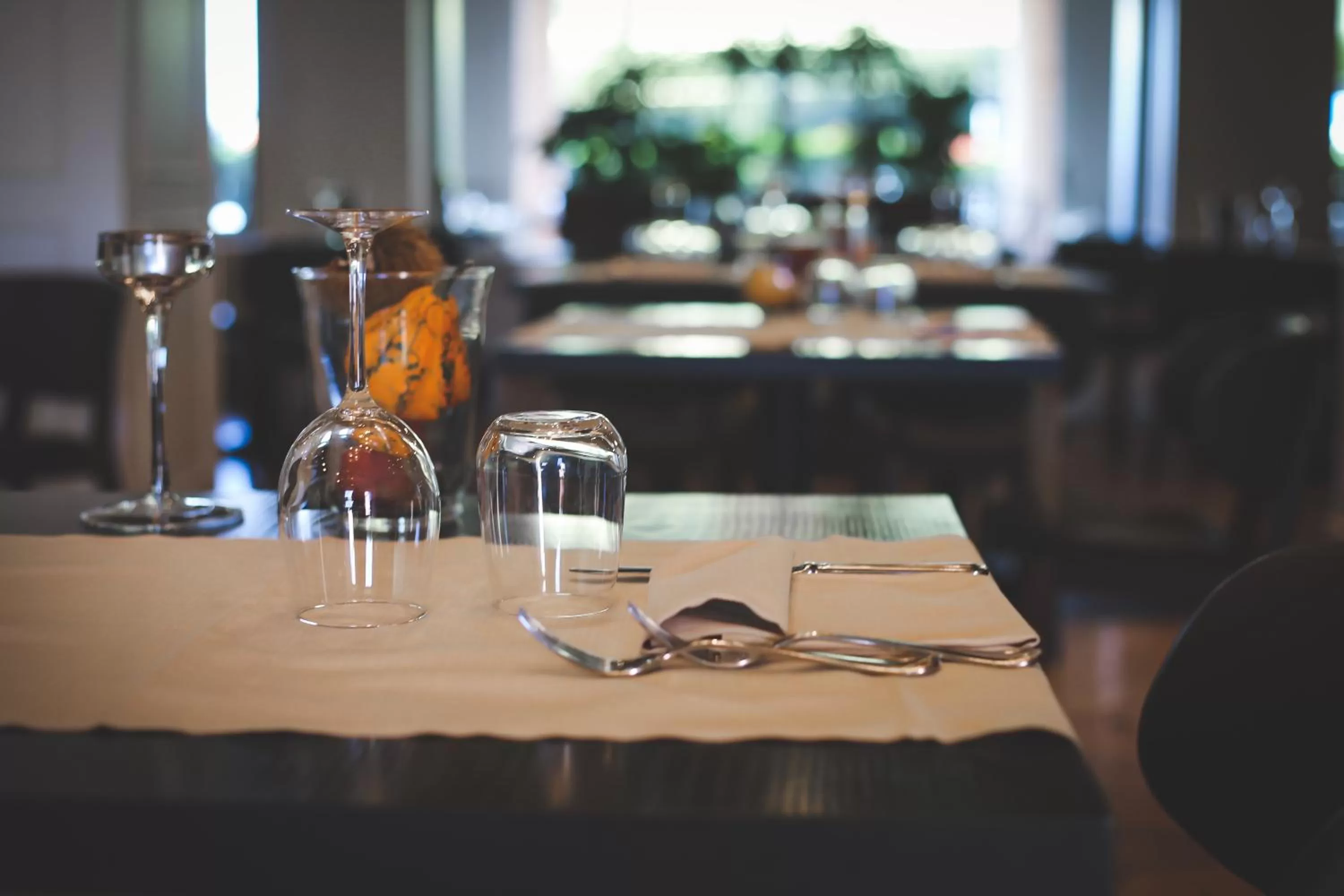 Restaurant/places to eat in Art Hotel Museo