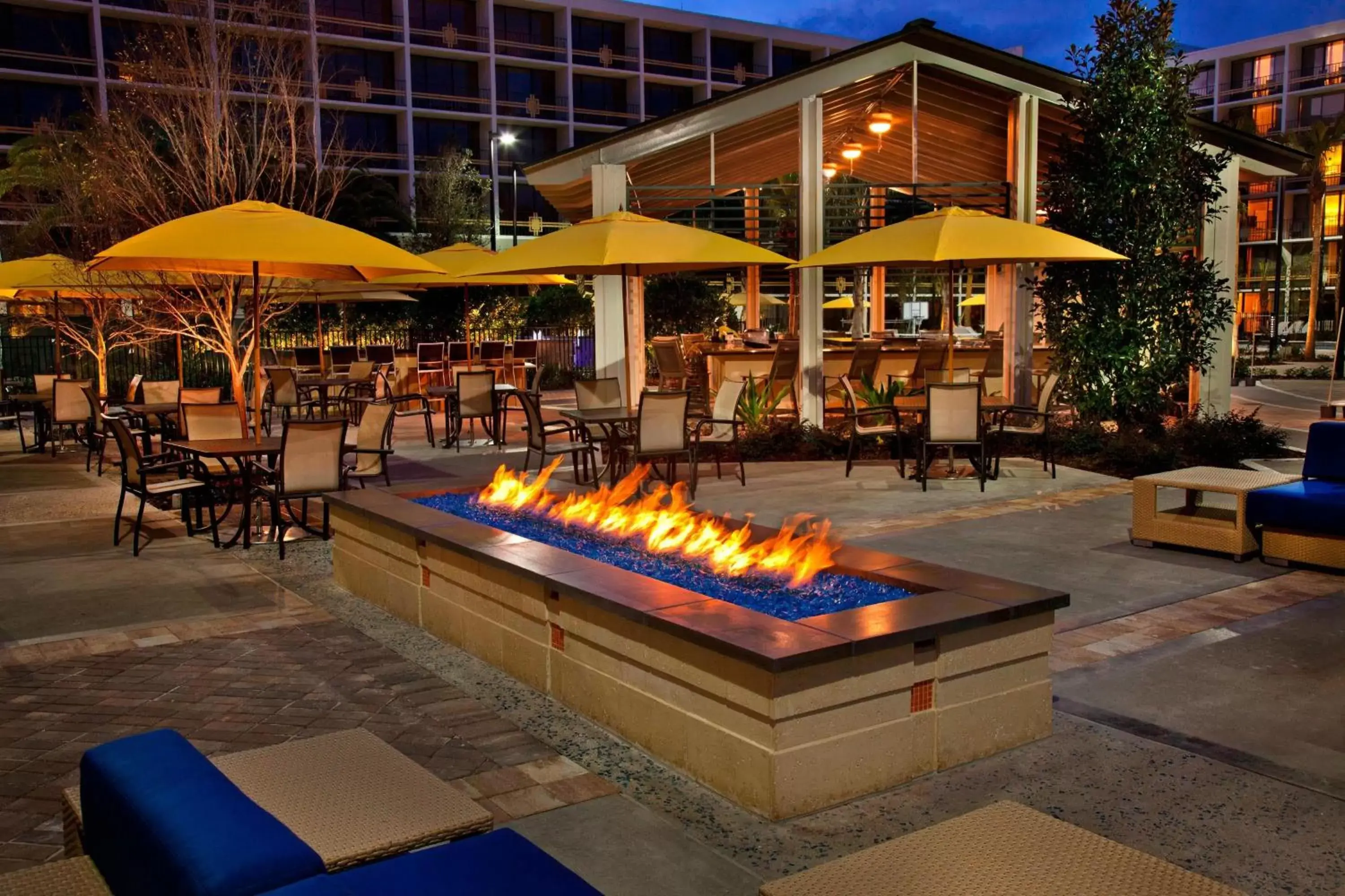 Restaurant/places to eat, Swimming Pool in Sheraton Orlando Lake Buena Vista Resort