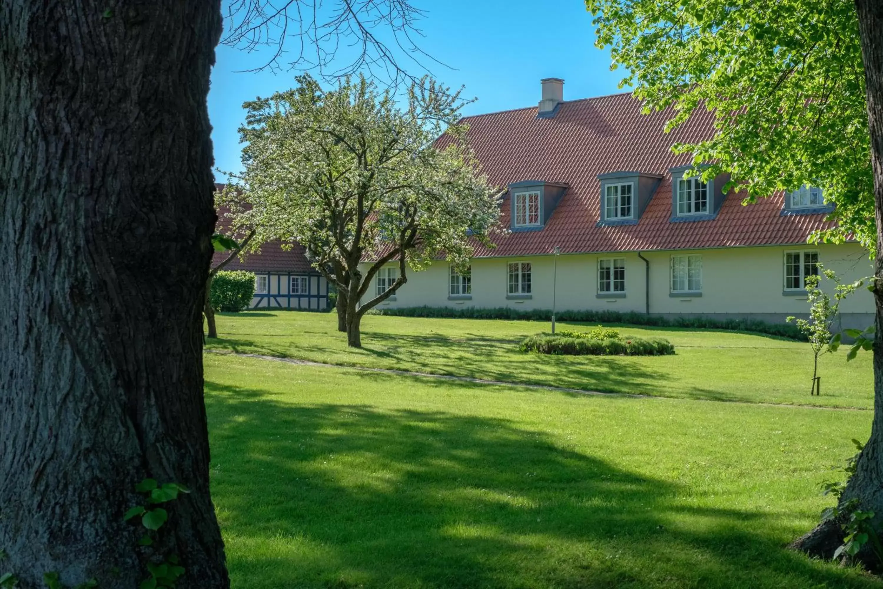 Garden, Property Building in Hotel Knudsens Gaard