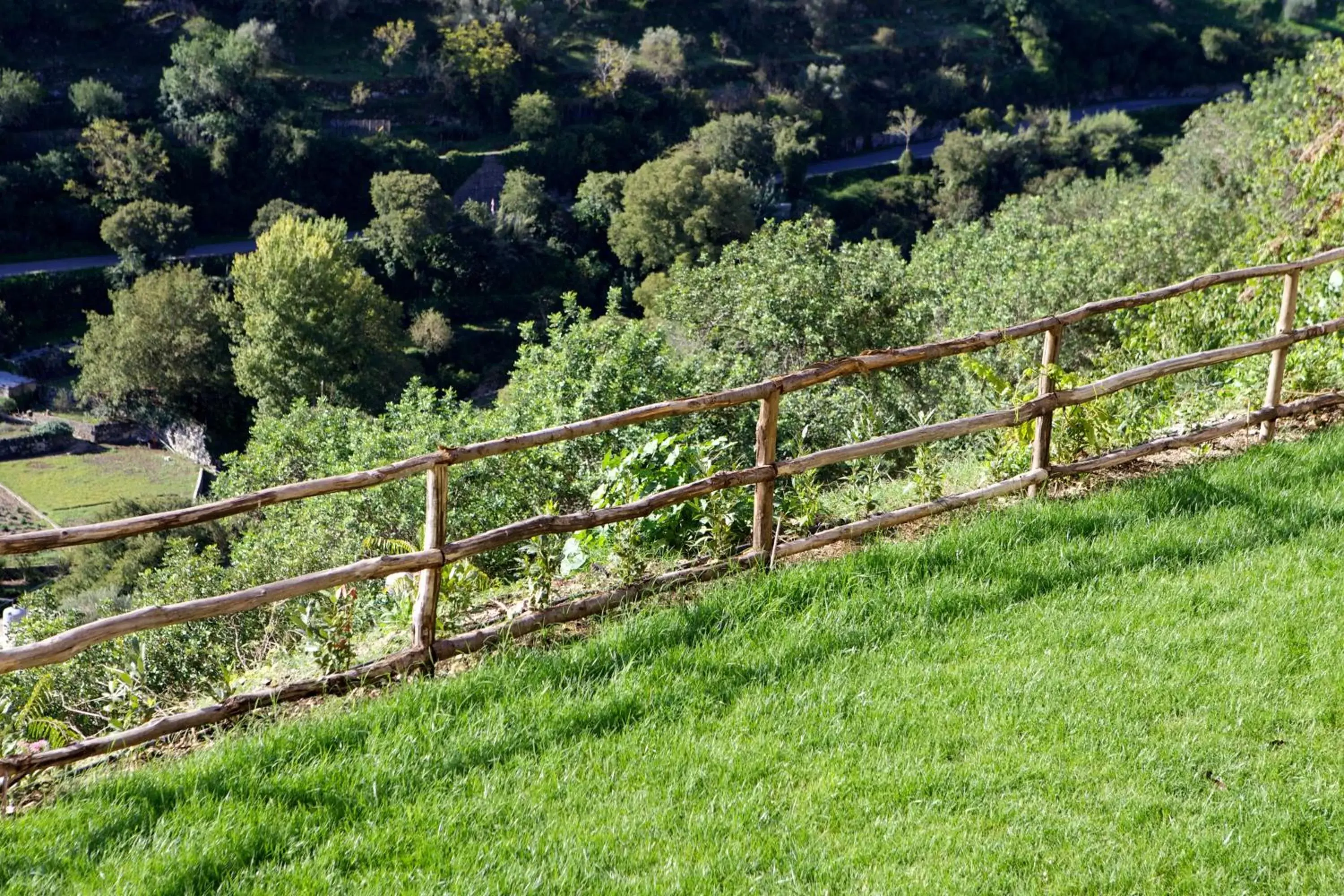 Garden in Antico Convento Dei Cappuccini