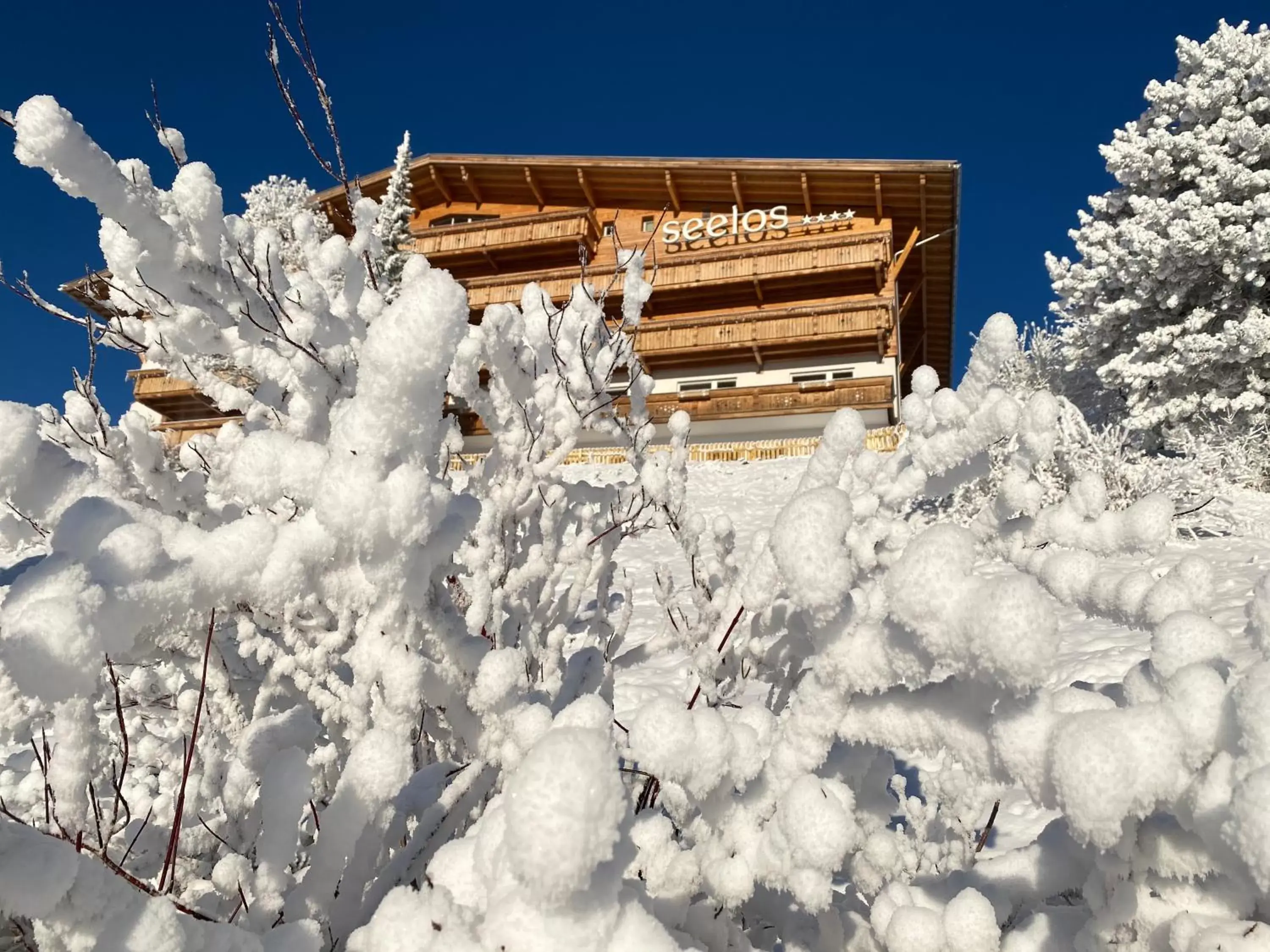Property building, Winter in Hotel Seelos