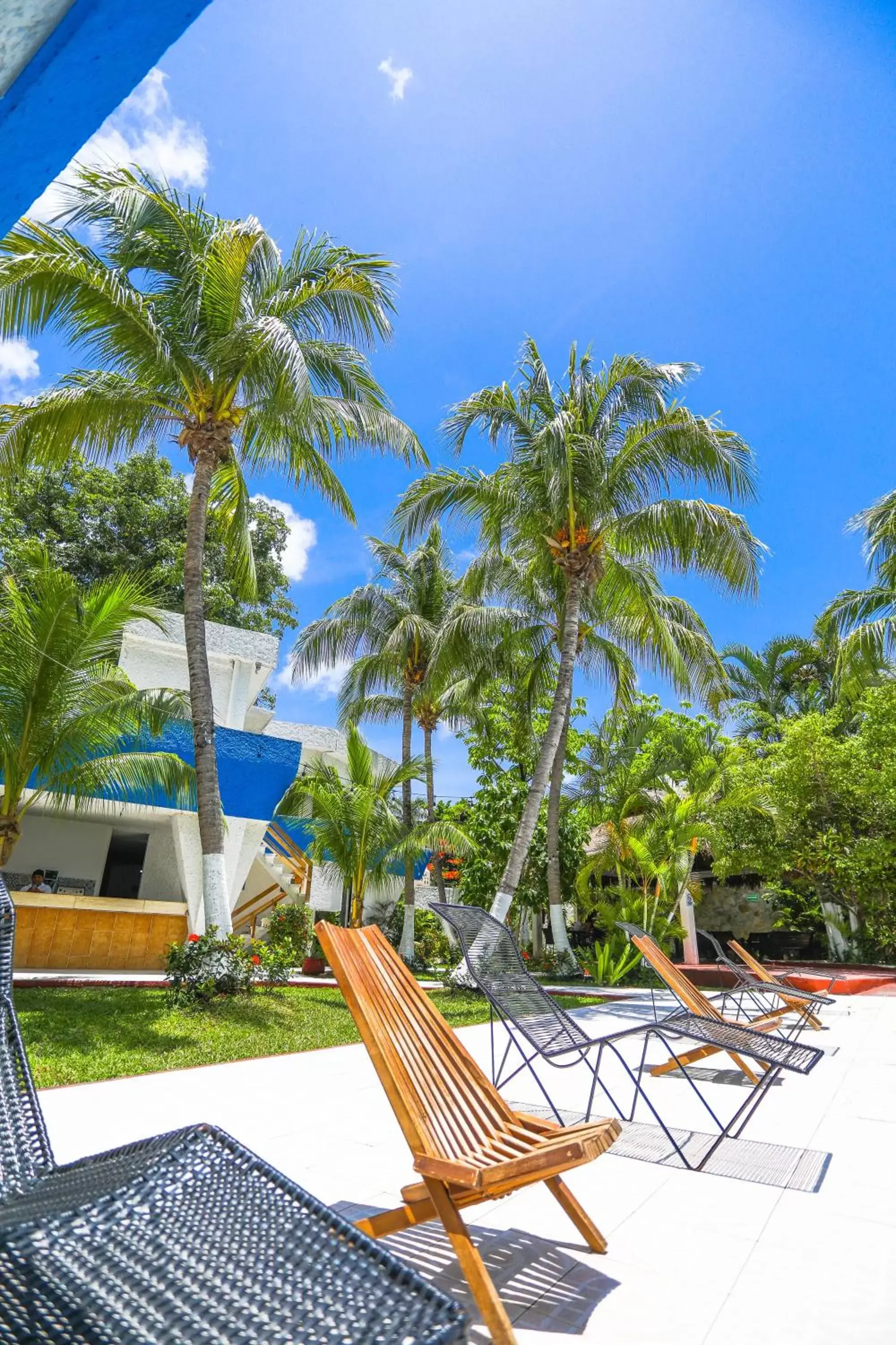 Garden, Swimming Pool in Hotel Caribe Internacional Cancun