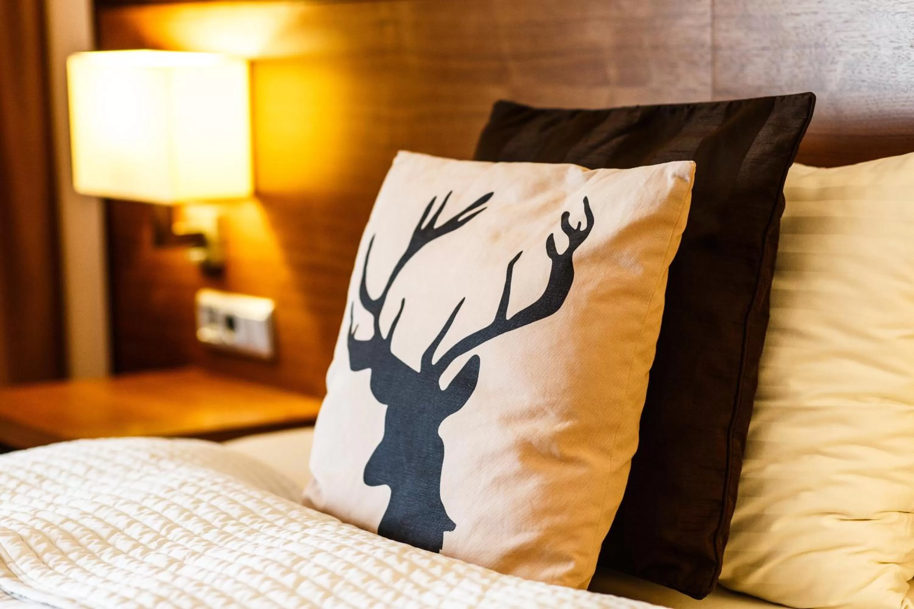 Photo of the whole room, Bed in Hotel Salzburg