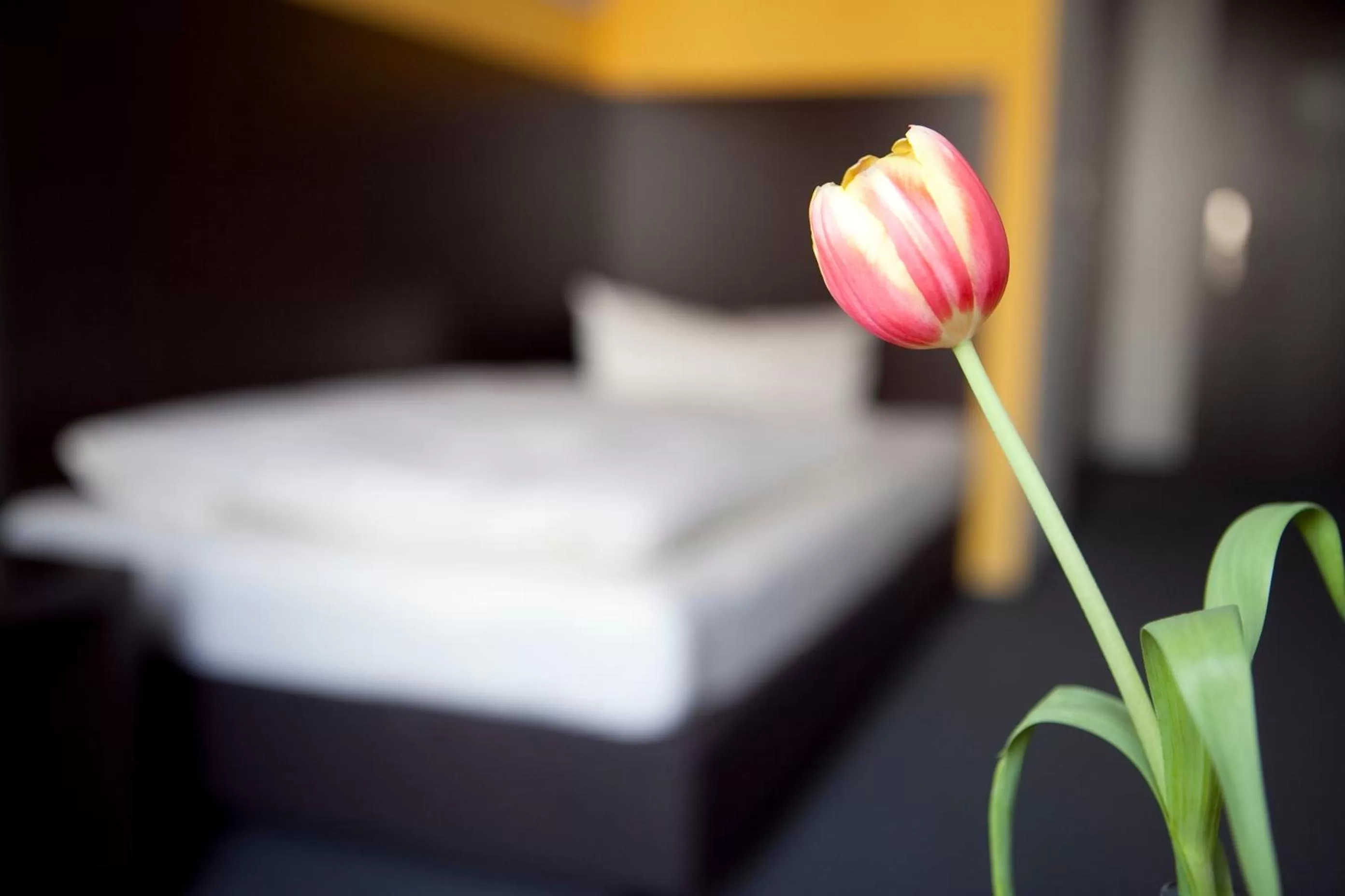 Bed in GS Hotel Mindelheim