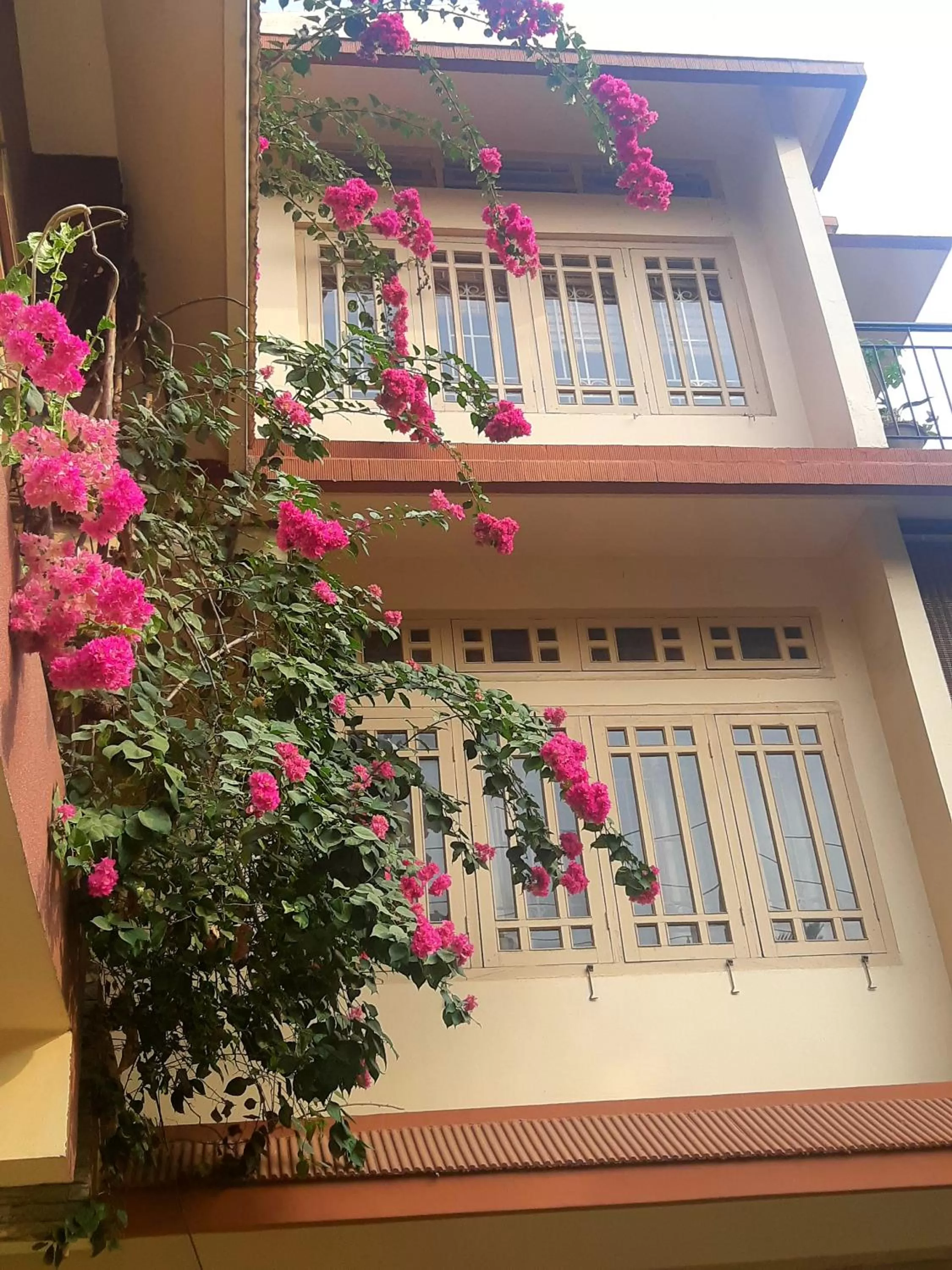 Property building in Bougainvillea