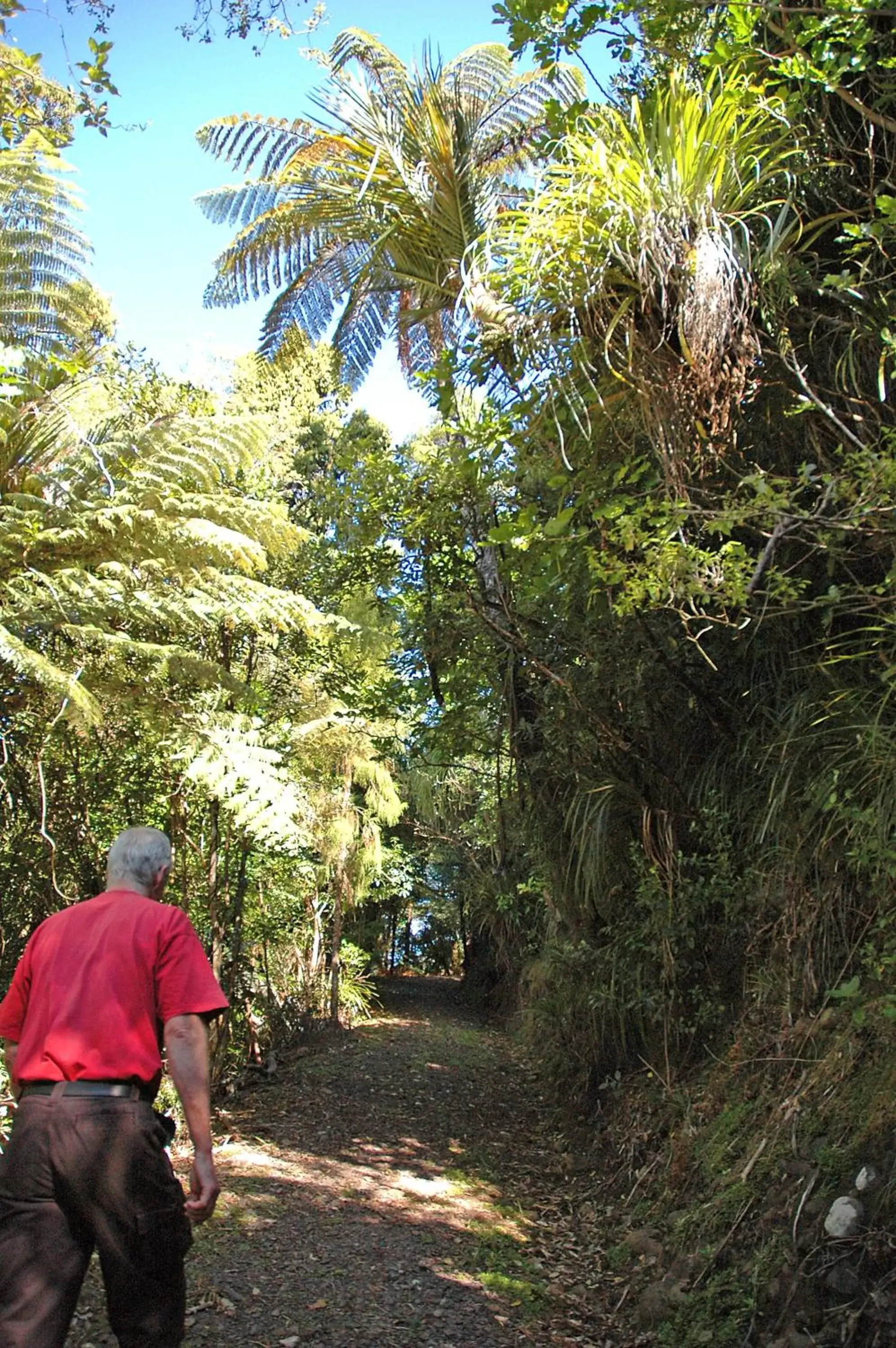 Hiking in Waitakere Resort & Spa