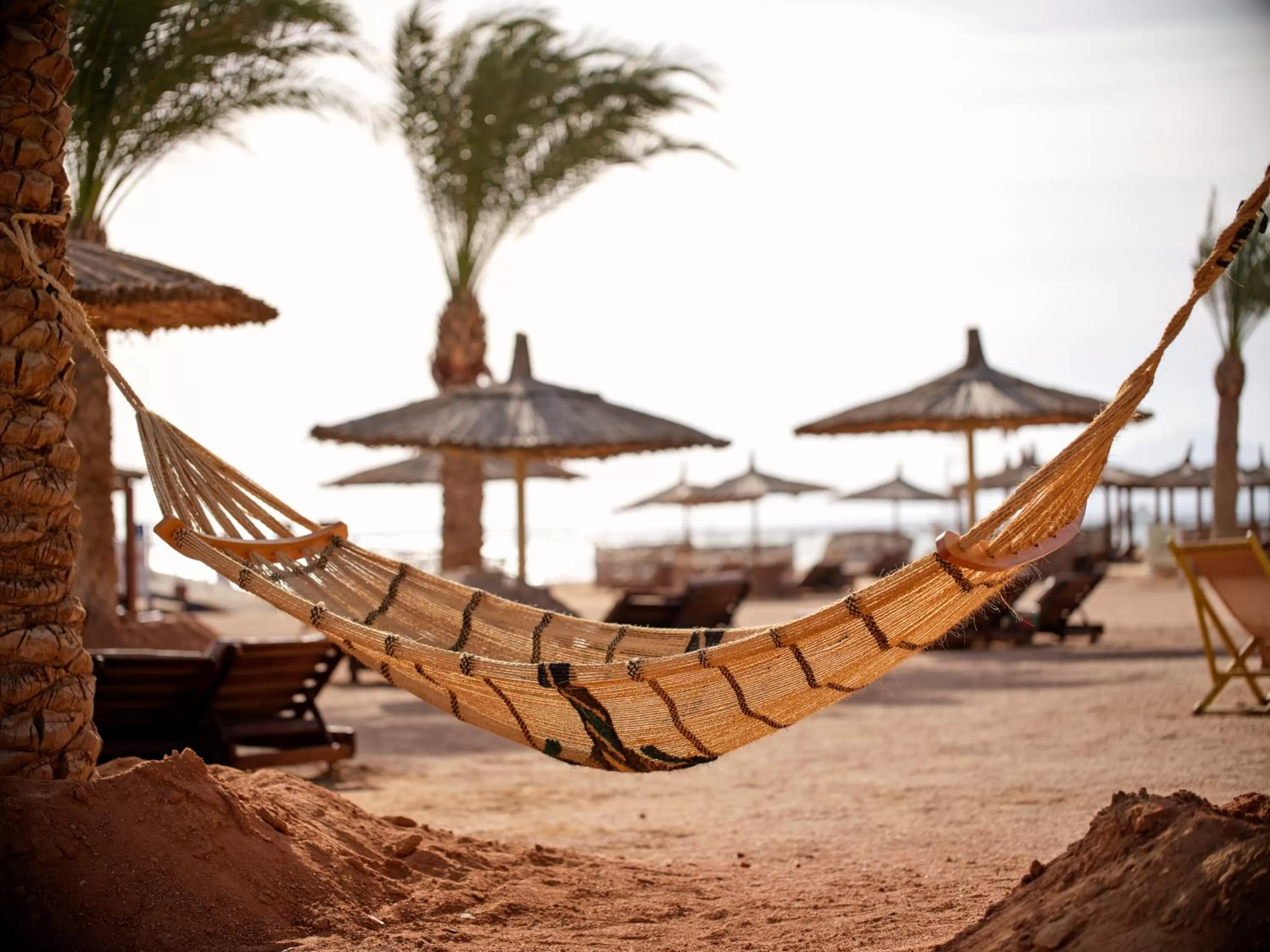 Beach in Coral Sea Holiday Resort & Aqua Park