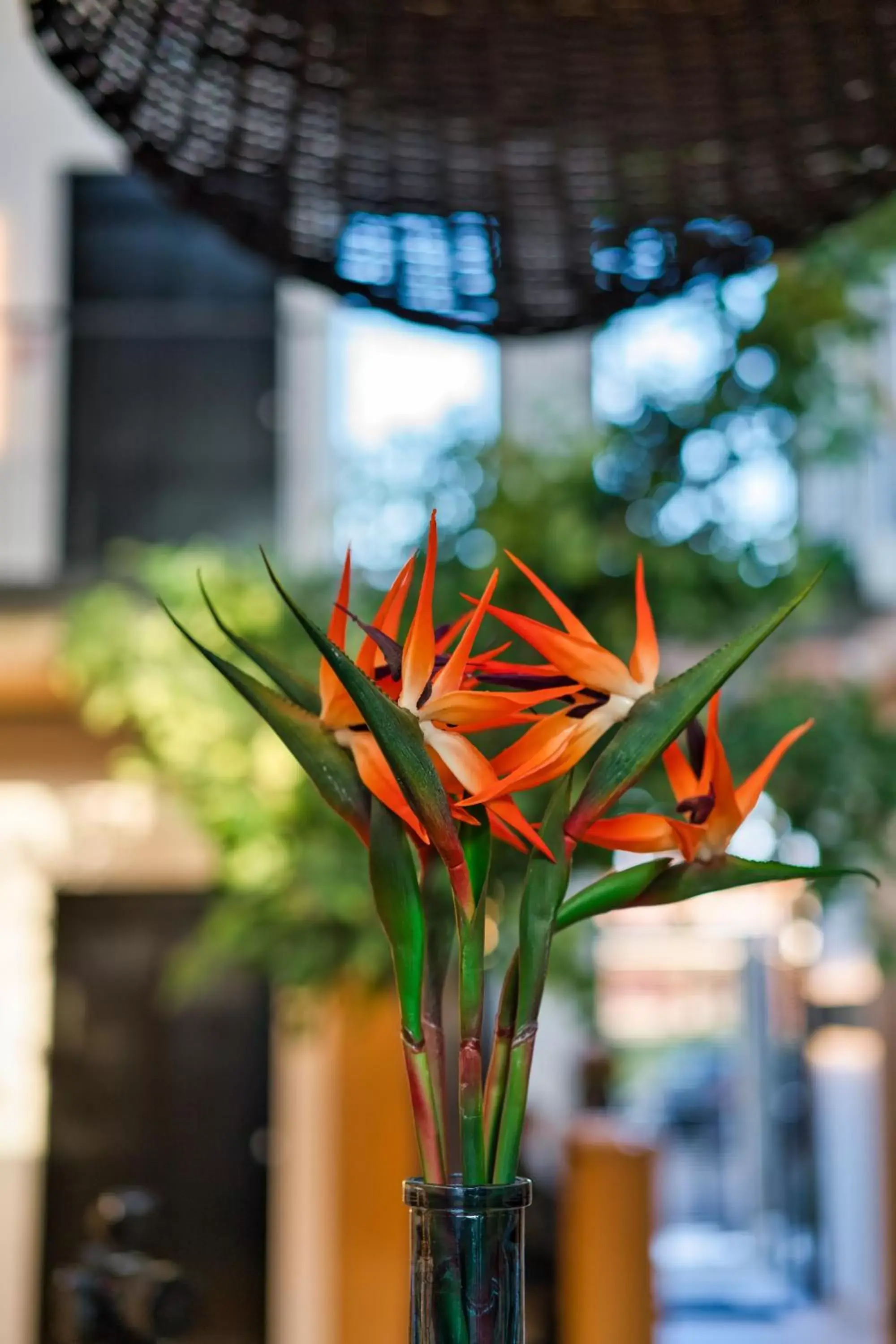 Decorative detail in Capital Luxury Suites