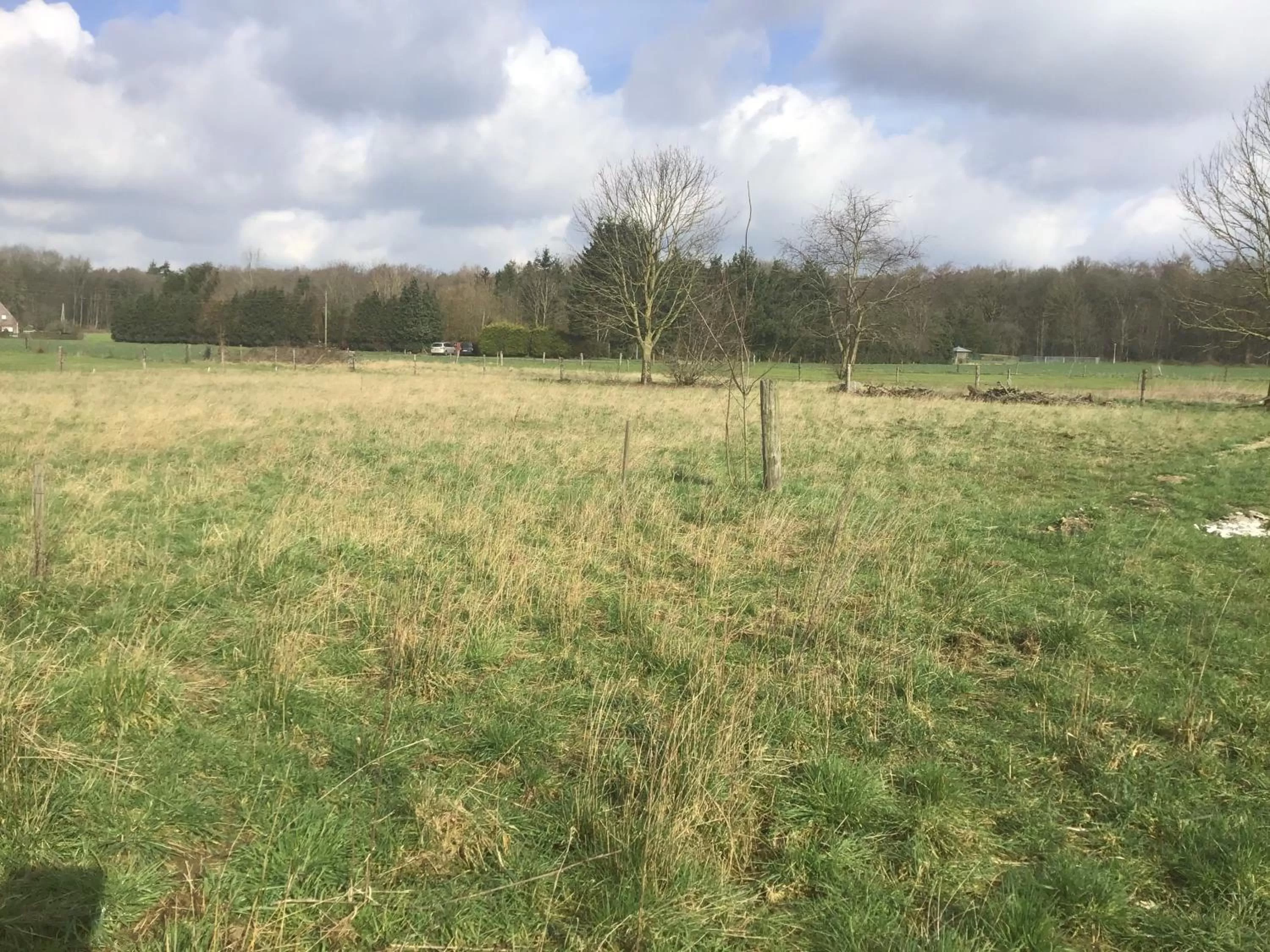 Garden in Nergena Zimmer Frei