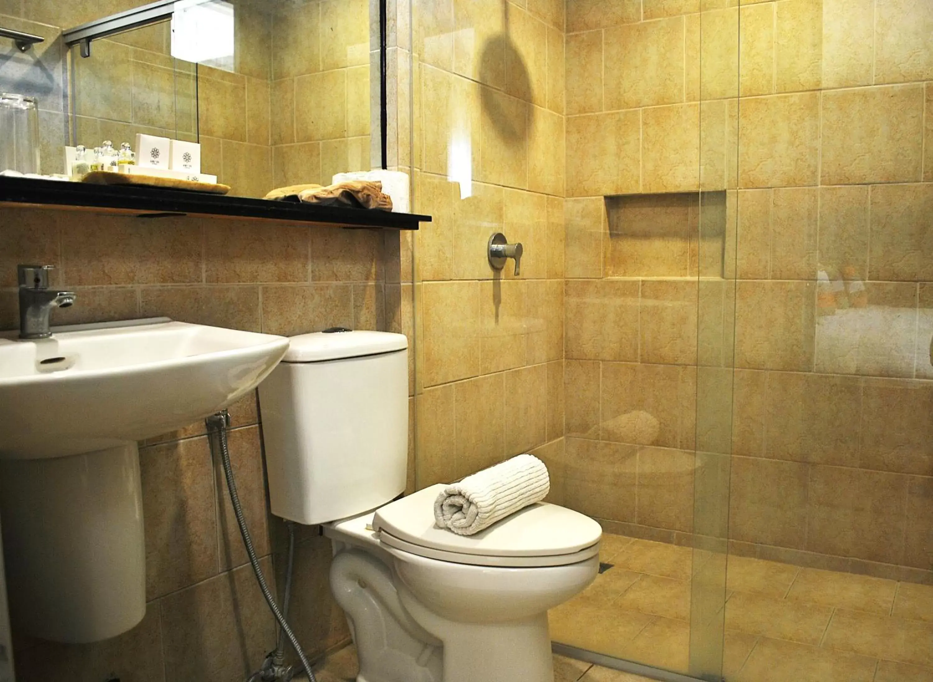 Bathroom in Altamare Dive and Leisure Resort Anilao