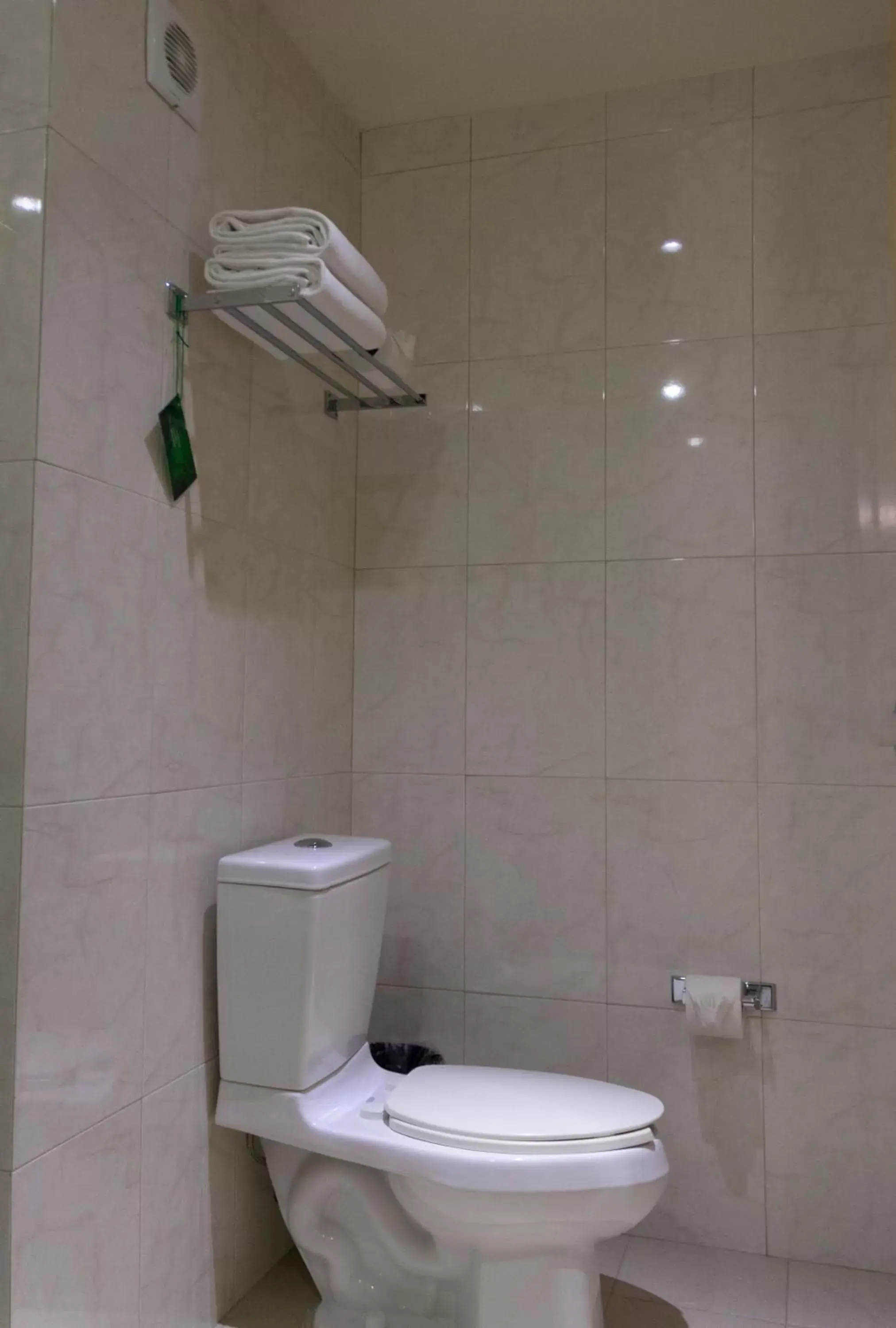 Toilet, Bathroom in Hotel Aeropuerto Los Cabos