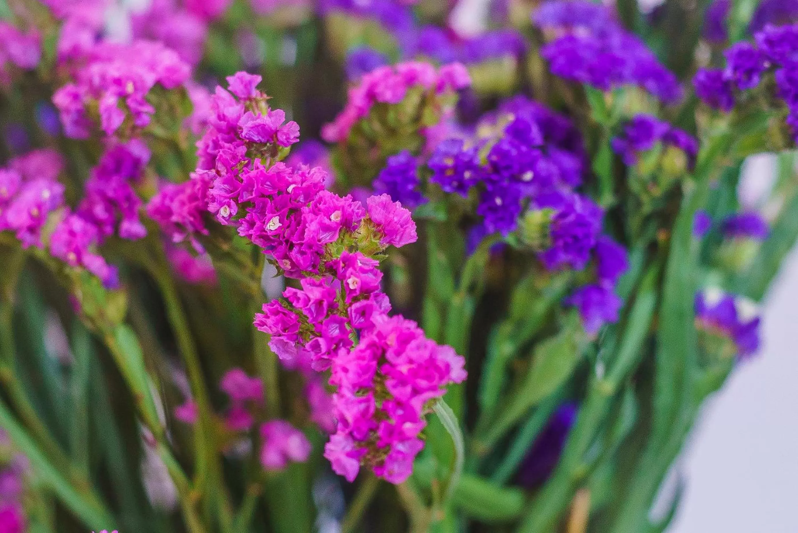 Decorative detail in Doma Zagreb Aparthotel